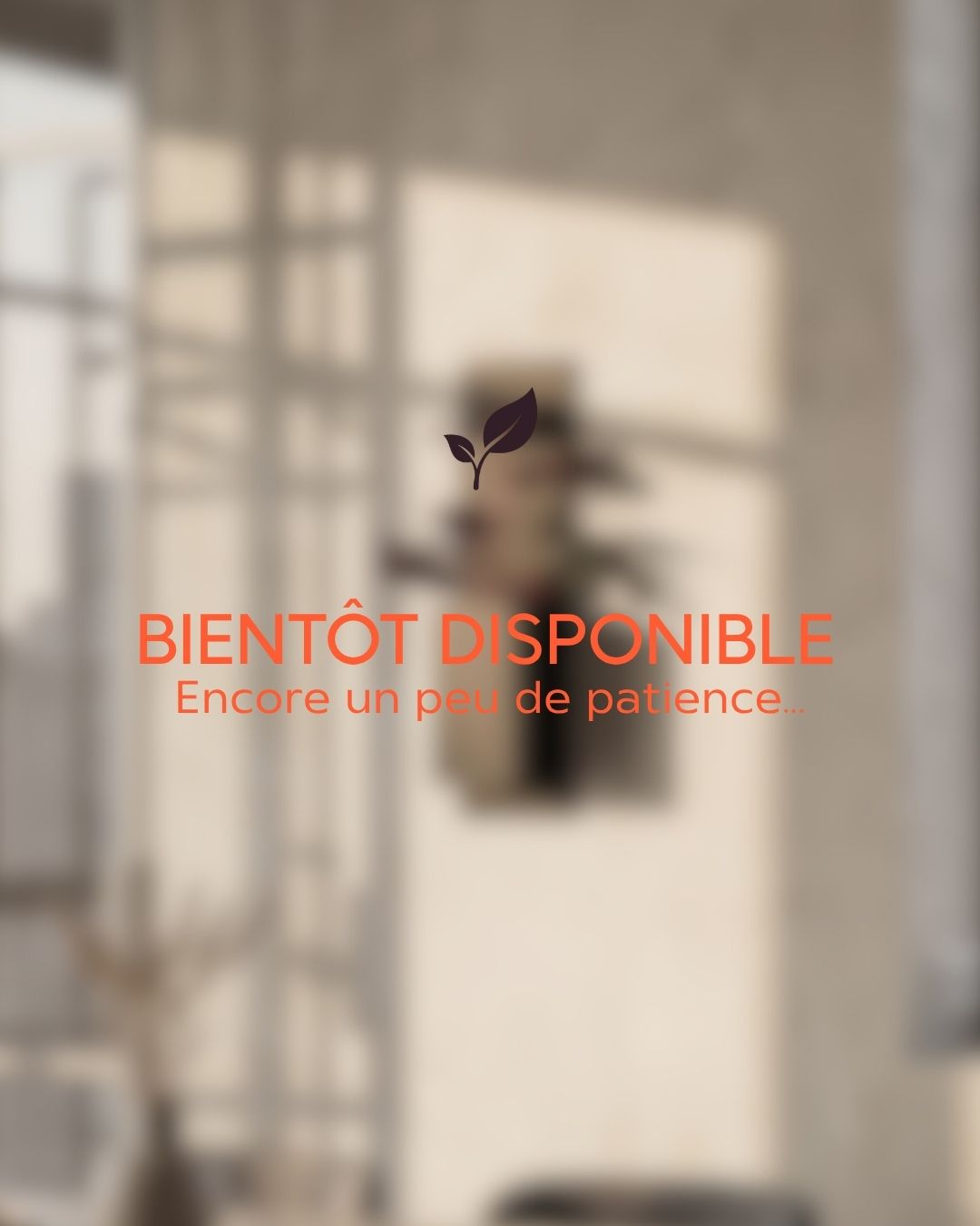 Le cadre végétal Éclance : Un tableau vivant qui transforme votre mur Image