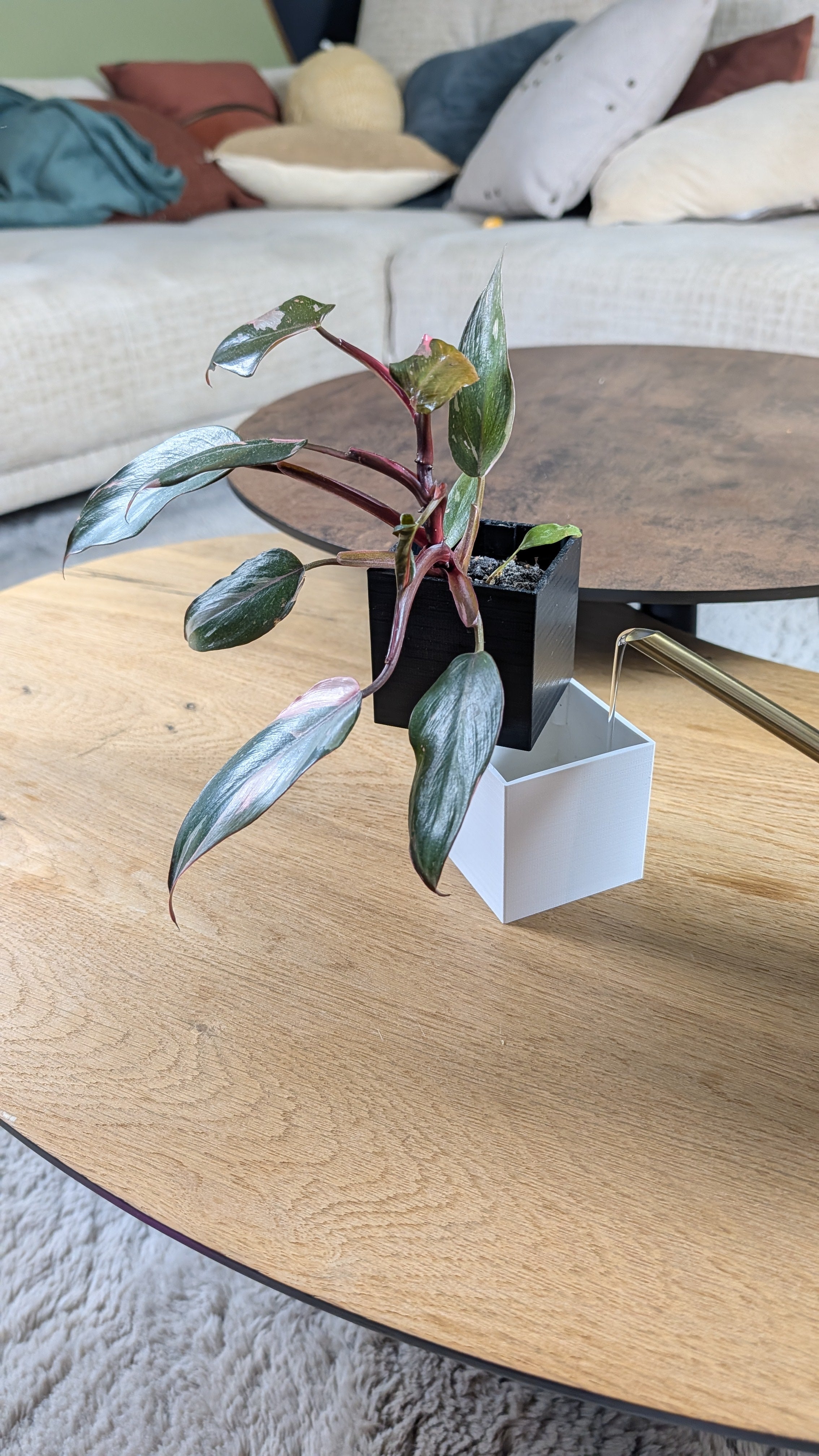 Cache-pot arrosage autonome Bild
