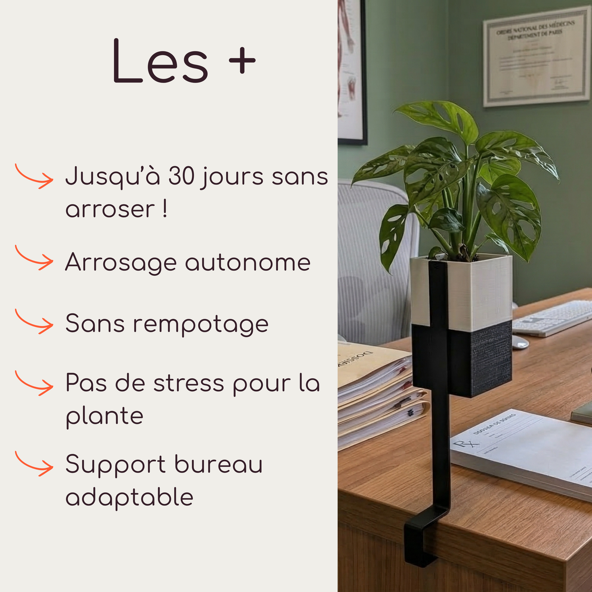 Infographie et mise en situation de la marque Éclance décoration intérieur végétal. À gauche, la liste des avantages de "L'îlot végétal" comme l'arrosage par capillarité. À droite, l'objet central fixé sur un bureau en bois : un support noir à pince portant un cache-pot Le cube bicolore blanc et noir, conçu pour un pot de 6cm, dans lequel pousse une petite plante verte (Monstera).