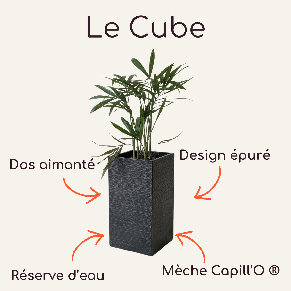 Cache-pot minimaliste Le Cube Éclance coloris noir, ultra léger et aimanté pour décoration murale.