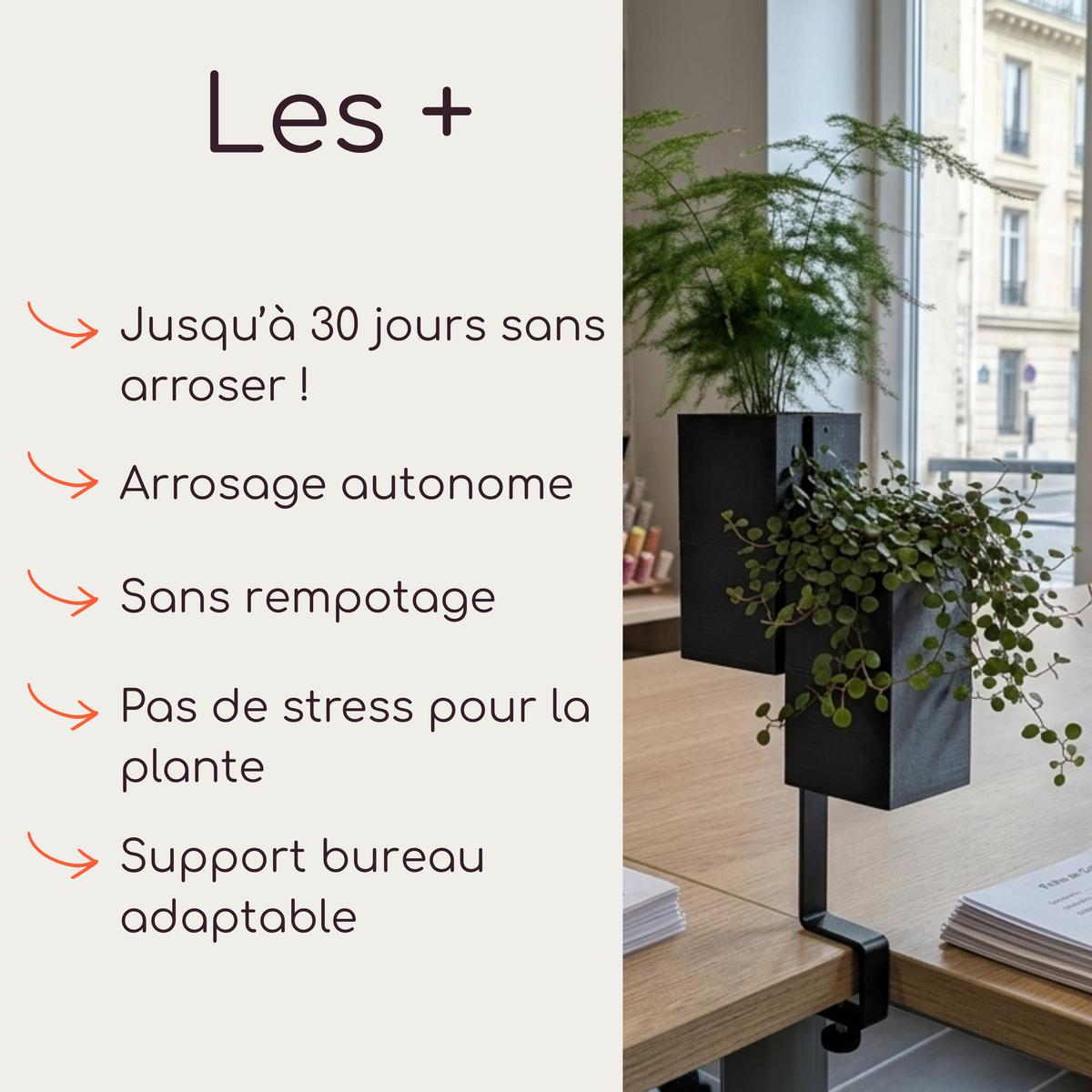 L’îlot végétal d'Éclance pour décoration de bureau : un support adaptable noir avec deux cache-pots cubes noirs (conçus pour pots de 6cm) contenant une fougère asperge et une plante grimpante. L'image de gauche présente une liste détaillée des avantages clés du système : autonomie d'arrosage de 3 semaines par capillarité, mèche Capill'O®, sans rempotage, pour une décoration végétale de bureau sans stress et sans charge mentale. Idéal pour un aménagement de bureau green.