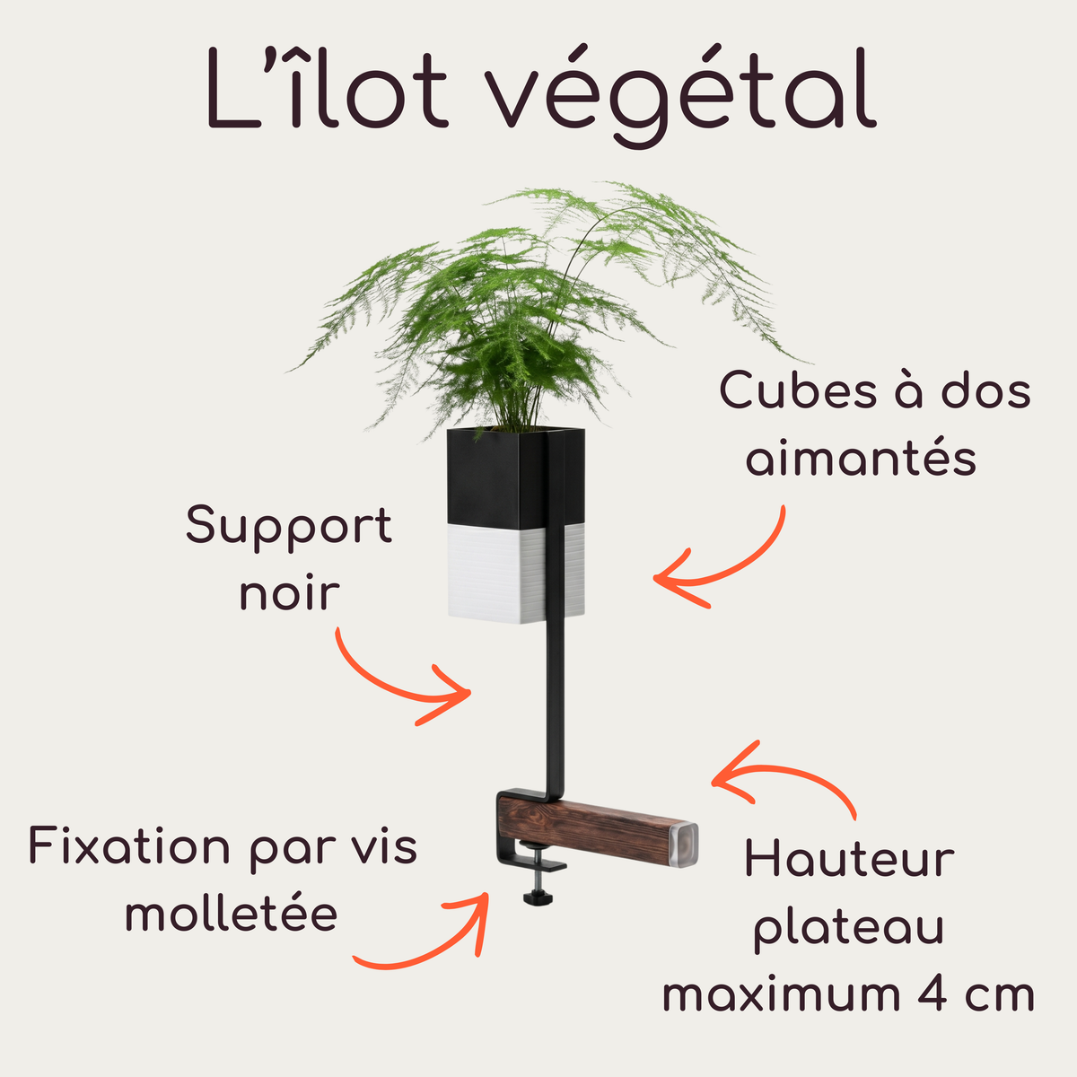 Photographie de produits de la marque Éclance décoration intérieur végétal : un kit complet comprenant un support vertical noir nu avec une pince de fixation pour bord d'étagère, une pince de fixation isolée, et un support assemblé avec un cache-pots noir et blanc'Le cube' spécifiquement adaptés pour des pots de 6 cm. Le logo 'L'îlot végétal' est affiché en haut. 