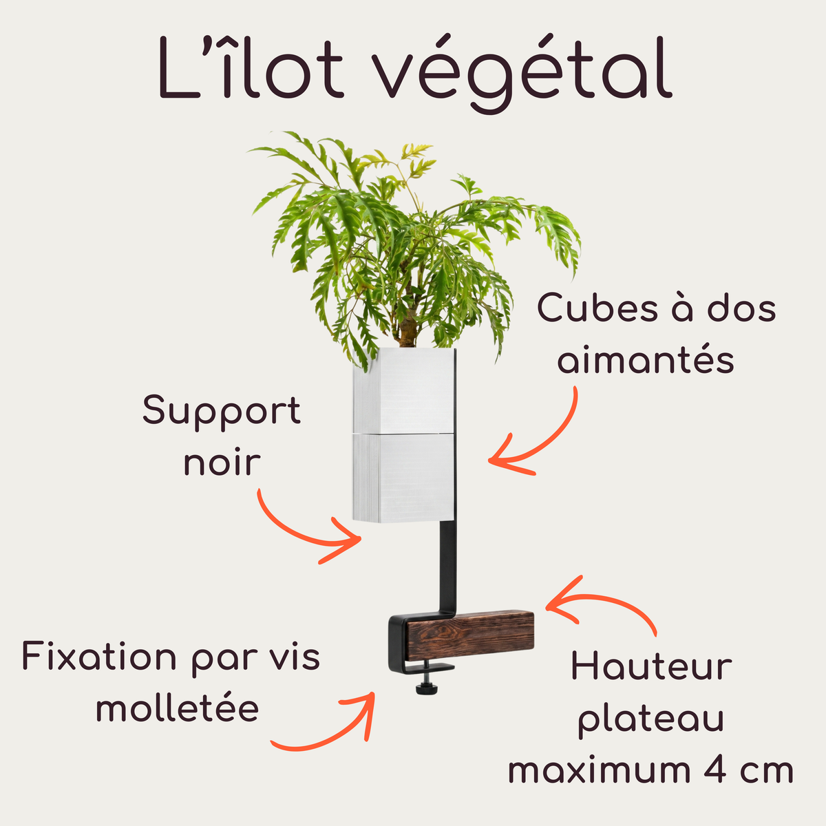 Photographie de produits de la marque Éclance décoration intérieur végétal : un kit complet comprenant un support vertical noir nu avec une pince de fixation pour bord d'étagère, une pince de fixation isolée, et un support assemblé avec un cache-pots blanc 'Le cube' spécifiquement adaptés pour des pots de 6 cm. Le logo 'L'îlot végétal' est affiché en haut. 