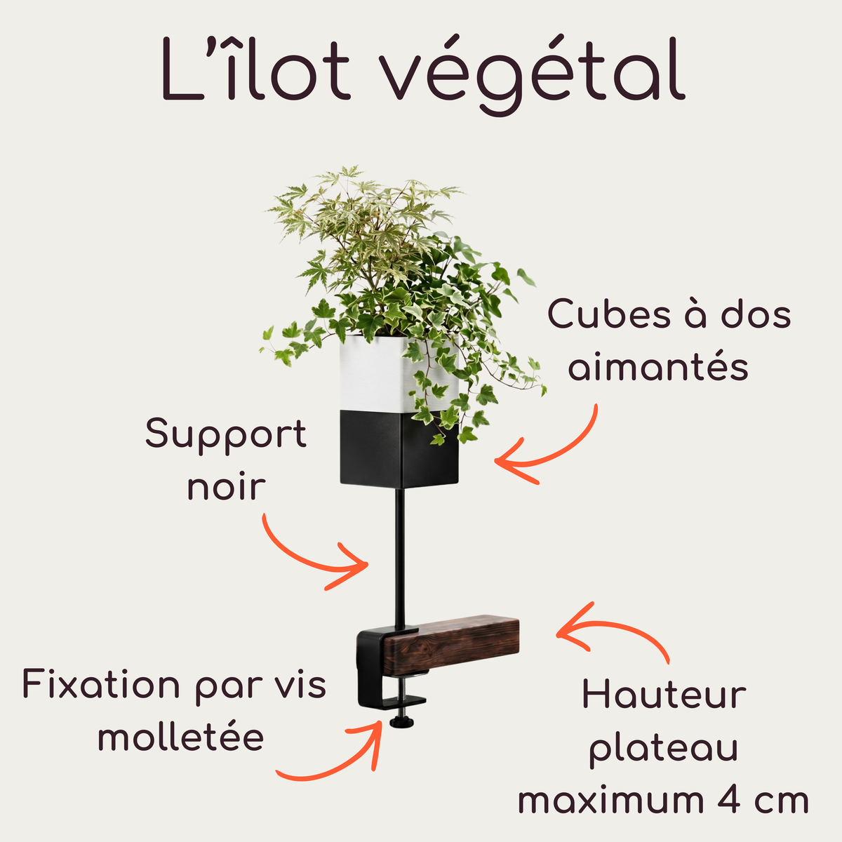 Photographie de produits de la marque Éclance décoration intérieur végétal : un kit complet comprenant un support vertical noir nu avec une pince de fixation pour bord d'étagère, une pince de fixation isolée, et un support assemblé avec un cache-pots blanc et noir 'Le cube' spécifiquement adaptés pour des pots de 6 cm. Le logo 'L'îlot végétal' est affiché en haut. 