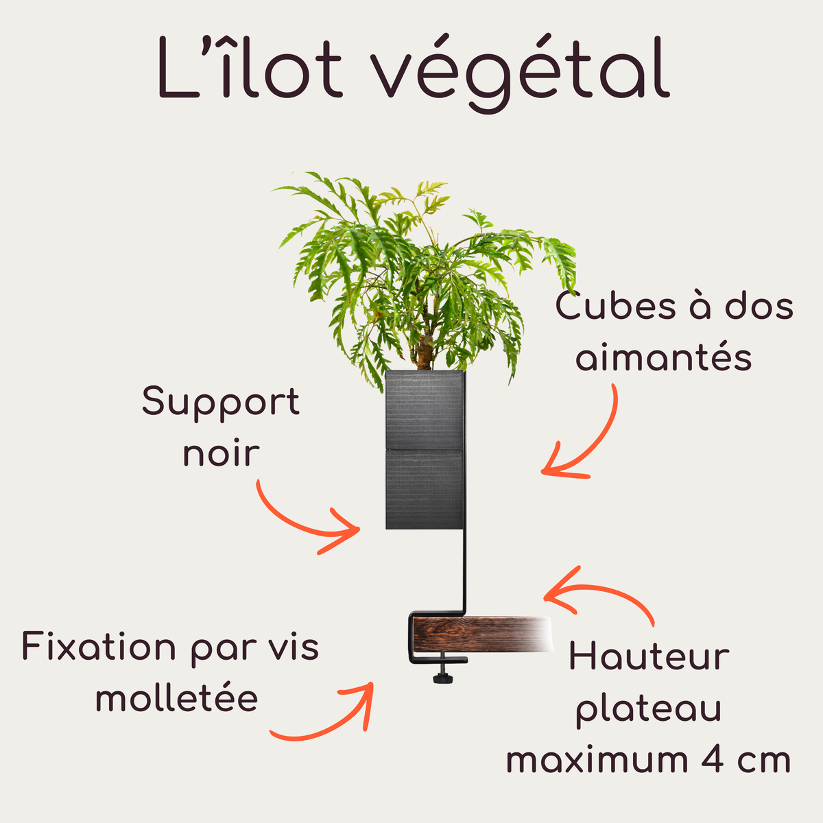 Photographie de produits de la marque Éclance décoration intérieur végétal : un kit complet comprenant un support vertical noir nu avec une pince de fixation pour bord d'étagère, une pince de fixation isolée, et un support assemblé avec un cache-pots noir Le cube spécifiquement adaptés pour des pots de 6 cm. Le logo 'L'îlot végétal' est affiché en haut. 