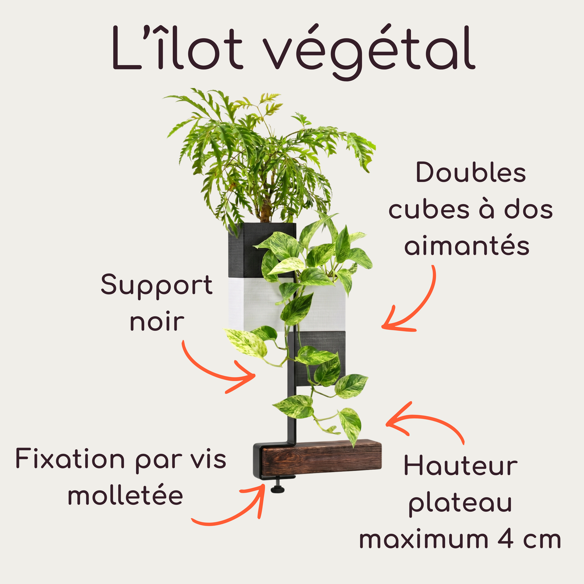 Photographie de produits de la marque Éclance décoration intérieur végétal : un kit complet comprenant un support vertical noir nu avec une pince de fixation pour bord d'étagère, une pince de fixation isolée, et un support assemblé avec double cache-pots noir et blanc'Le cube' spécifiquement adaptés pour des pots de 6 cm. Le logo 'L'îlot végétal' est affiché en haut. 