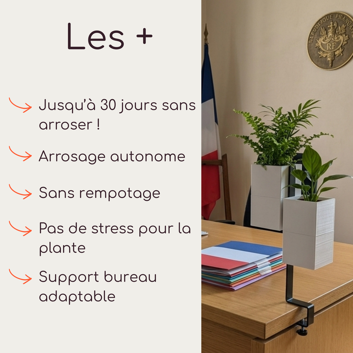 Infographie présentant le support de bureau adaptable L'îlot végétal de la marque Éclance décoration intérieur végétal. La mise en situation montre un environnement de bureau officiel et institutionnel.Fixé au bureau en bois, le support noir porte deux cache-pots Le cube (entèrement blancs, conçus pour des pots de 6cm) contenant des plantes vertes, dont une fougère. À gauche, les bénéfices du concept sont listés : 3 semaines d'autonomie Capill'O®, absence de rempotage et diminution de la charge mentale.