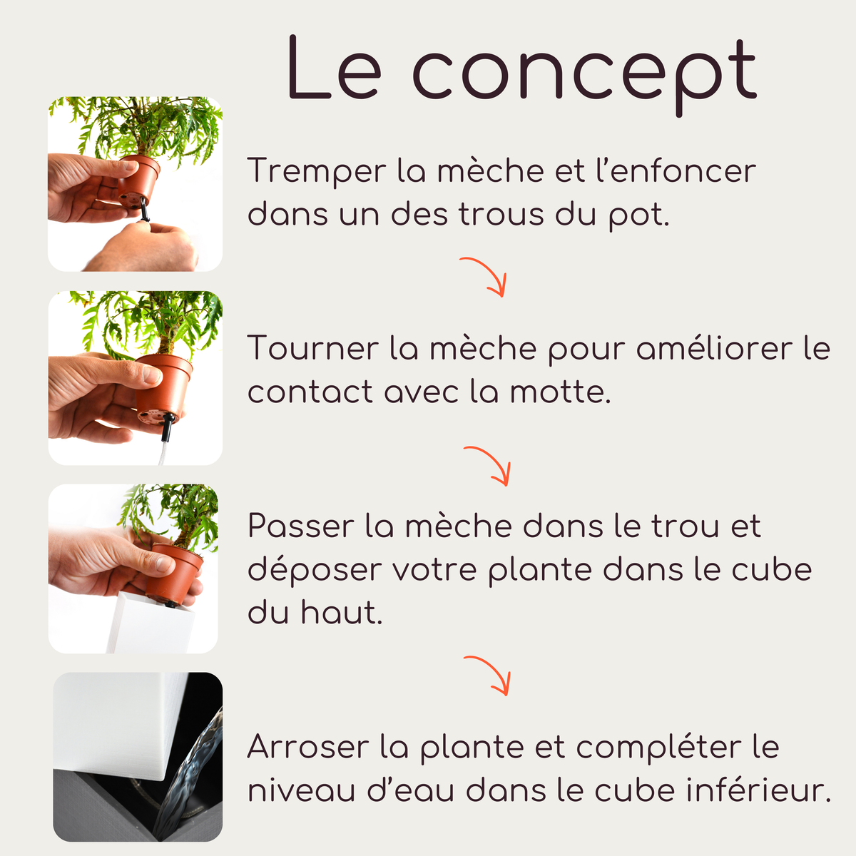 Tutoriel d'installation en 4 étapes de la marque Éclance décoration intérieur végétal pour le cache-pot. Le cube bicolore blanc et noir, adapté aux pots de 6cm. L'infographie montre en détail comment insérer et tourner la mèche d'arrosage dans le pot de la plante, placer la plante dans la partie supérieure blanche du cube, et ajouter l'eau dans le réservoir inférieur noir pour activer l'arrosage par capillarité.