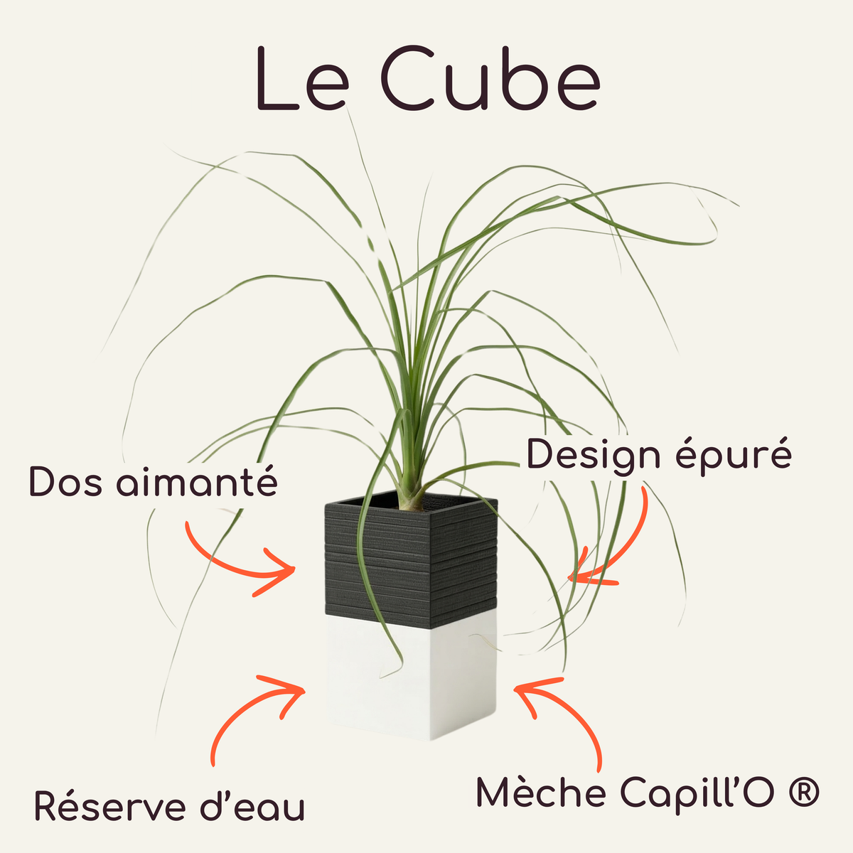 Cache-pot bicolore noir et blanc. Le Cube par Éclance avec système d'arrosage autonome pour pot de diamètre 6cm.