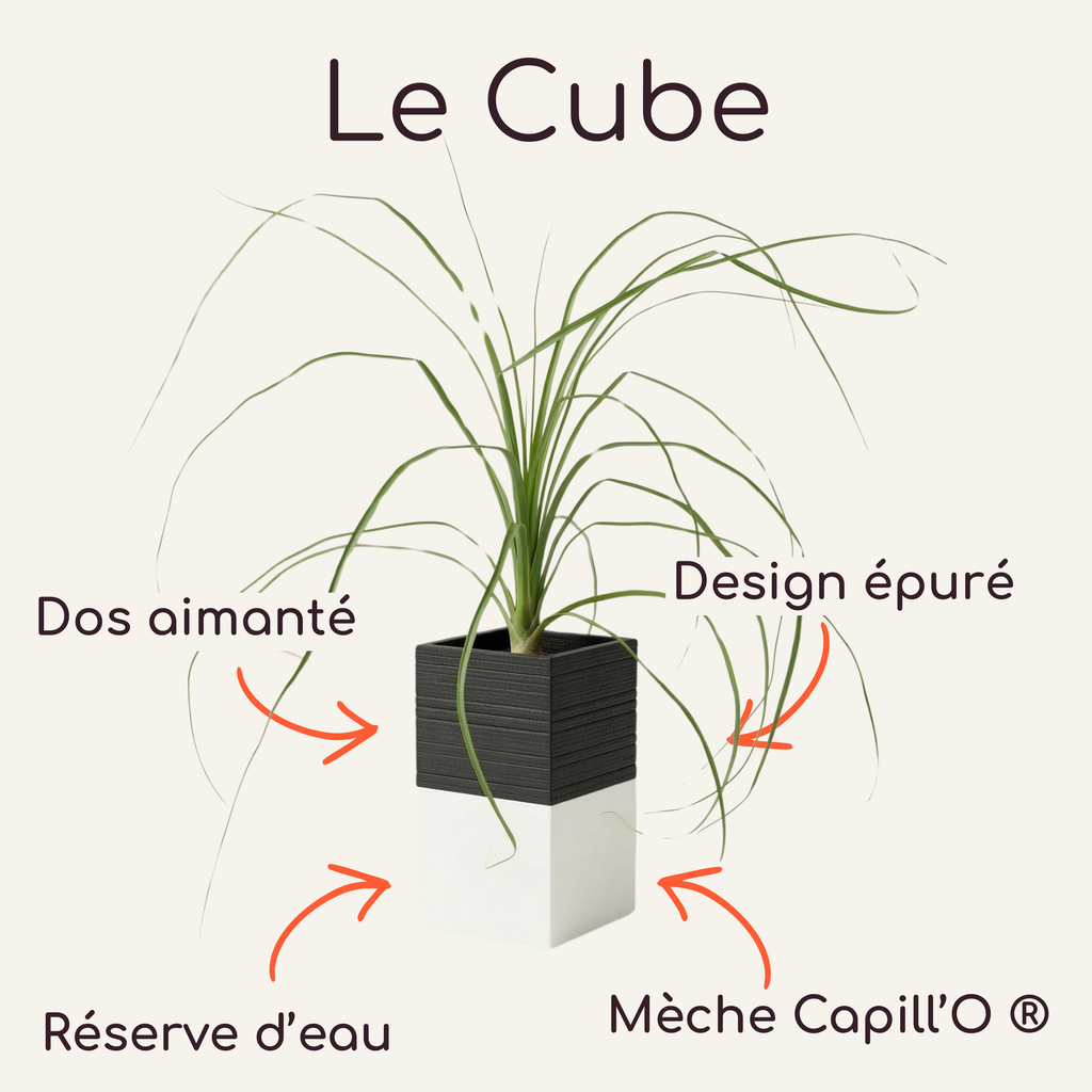 Cache-pot bicolore noir et blanc. Le Cube par Éclance avec système d'arrosage autonome pour pot de diamètre 6cm.