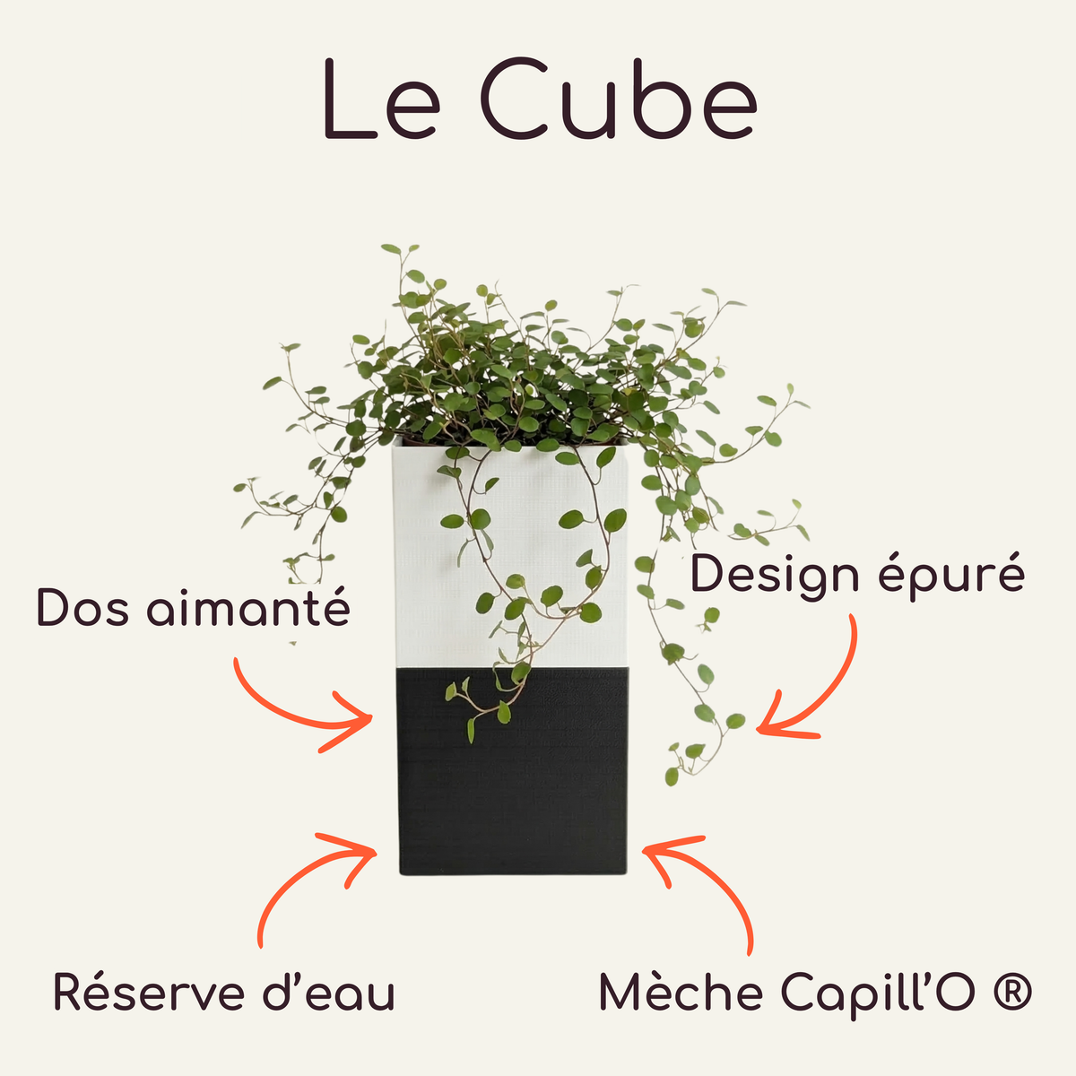 Petit cache-pot magnétique Le Cube Éclance bicolore noir et blanc pour plante d'intérieur de 6cm.
