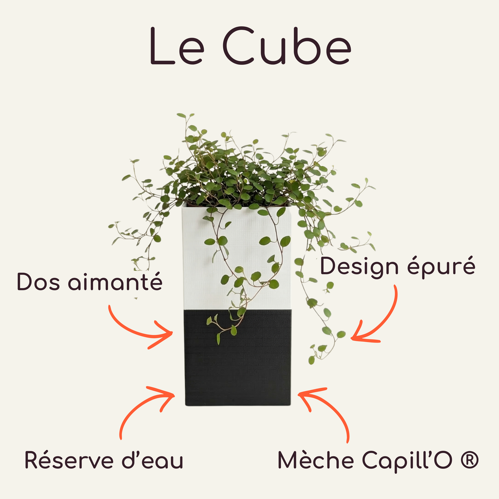 Petit cache-pot magnétique Le Cube Éclance bicolore noir et blanc pour plante d'intérieur de 6cm.