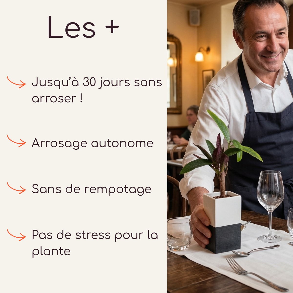 Cache-pot design Éclance modèle Le Cube bicolore blanc et noir, adapté pour pot de 6cm, présenté par un serveur sur une table de restaurant. Système d'arrosage autonome par mèche Capill'O pendant 3 semaines sans entretien.