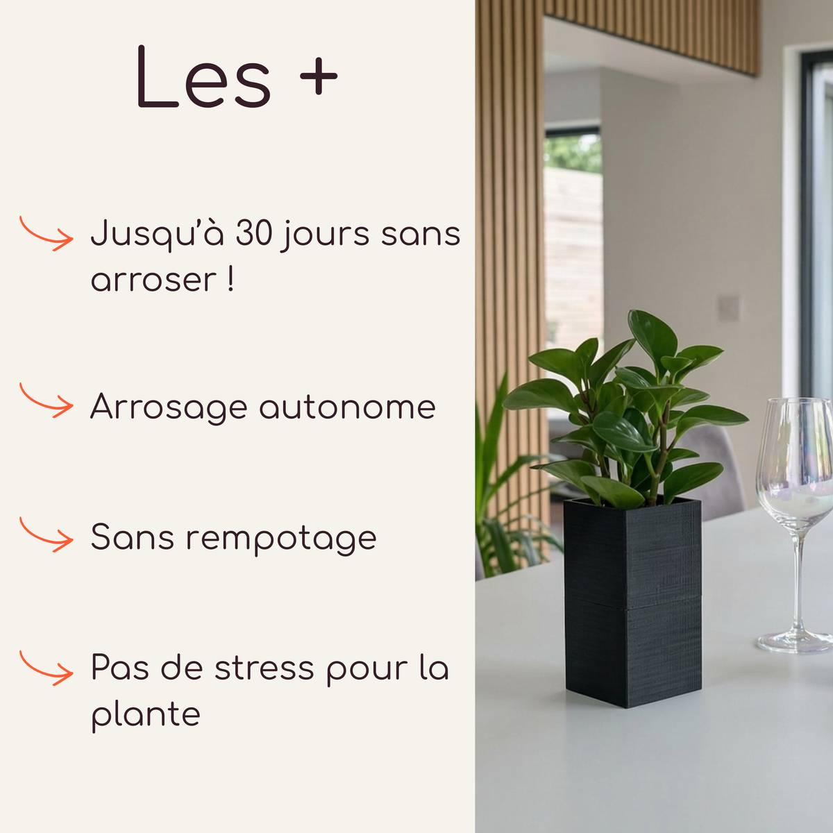 Cache-pot design Le Cube noir de la marque Éclance, adapté pour un pot de 6cm de diamètre, posé sur une table de salle à manger. Le visuel met en avant le système d'arrosage par capillarité avec mèche autonome Capill'O permettant 3 semaines d'autonomie sans entretien.