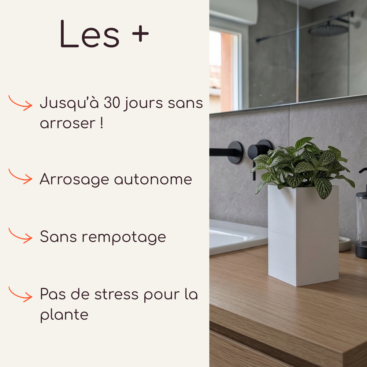 Cache-pot Éclance modèle Le Cube blanc pour pot de 6cm, posé sur un meuble de salle de bain en bois avec une plante Fittonia. Système d'arrosage par capillarité Capill'O permettant 3 semaines d'autonomie sans entretien.