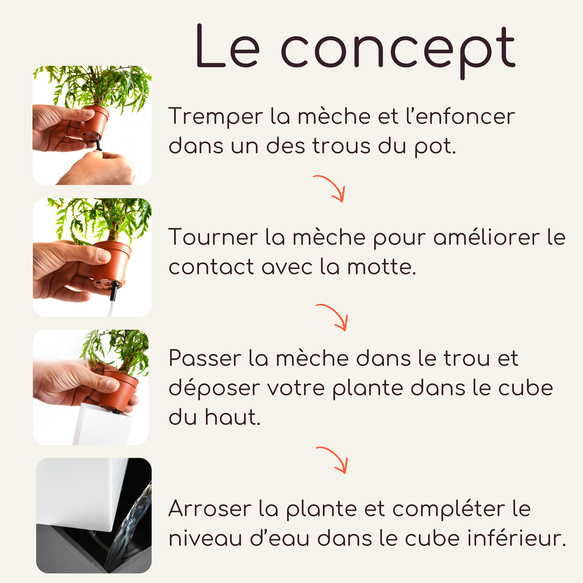 Guide d'installation de la mèche auto-irrigante Capill'O dans le cache-pot Le Cube Éclance noir et blanc.
