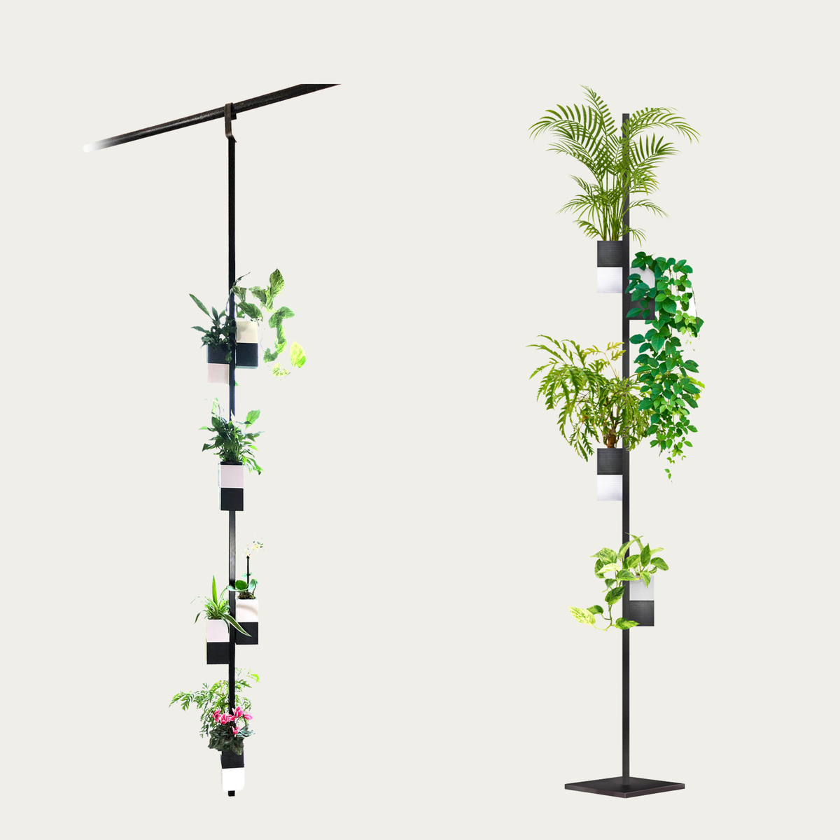L'archipel végétal par la marque Éclance décoration intérieur végétal. Présentation de multiples cache-pots Le cube (adaptés pour des pots de 6cm) de couleur bicolore noir et blanc. L'image montre deux configurations : une barre verticale accrochée à une tringle de rideaux grâce à un crochet, et un support sur pied à poser au sol.