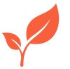Copie_de_Feuille_Eclance_Terracota_fond_transparent