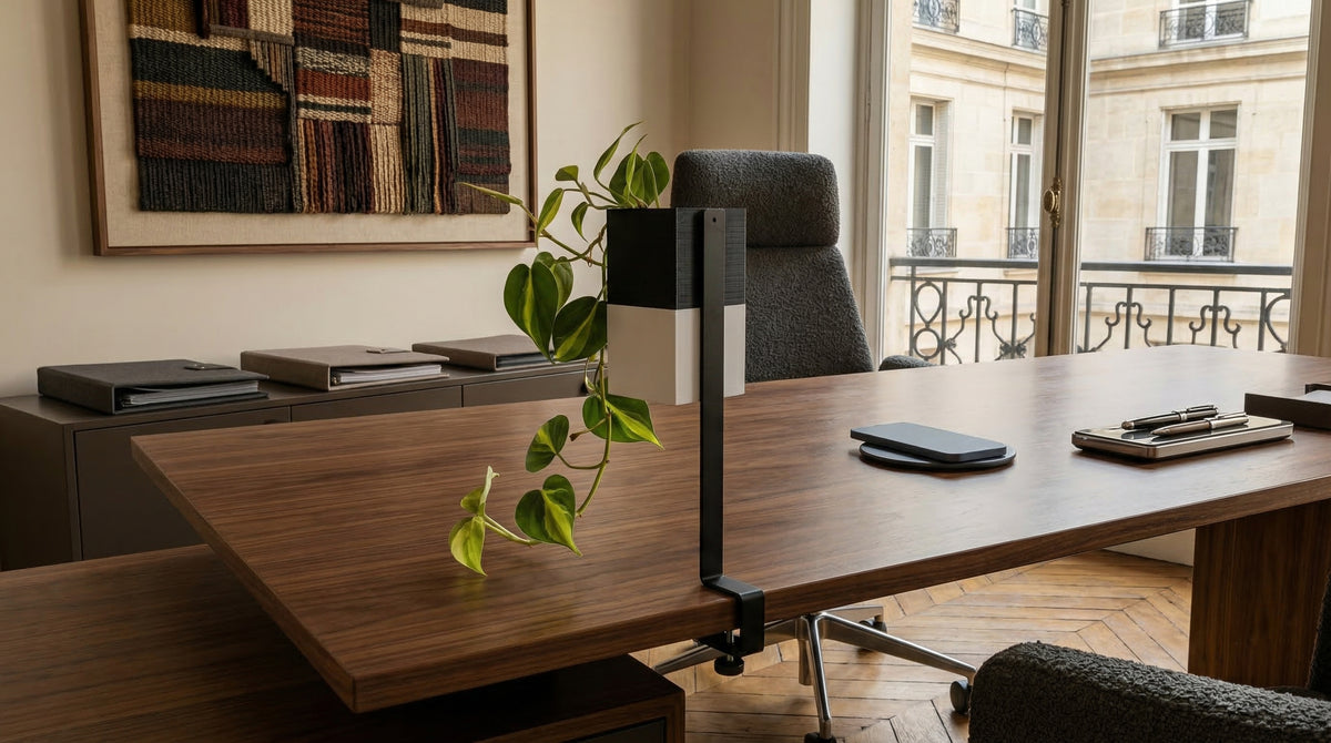 Gros plan sur le cache-pot Le Cube bicolore noir et blanc d'Éclance, pour pot de 6cm, monté sur son support L'Îlot Végétal à lien sur un bureau en noyer foncé. Un Monstera adansonii est drapé devant une décoration d'art textile tissé.