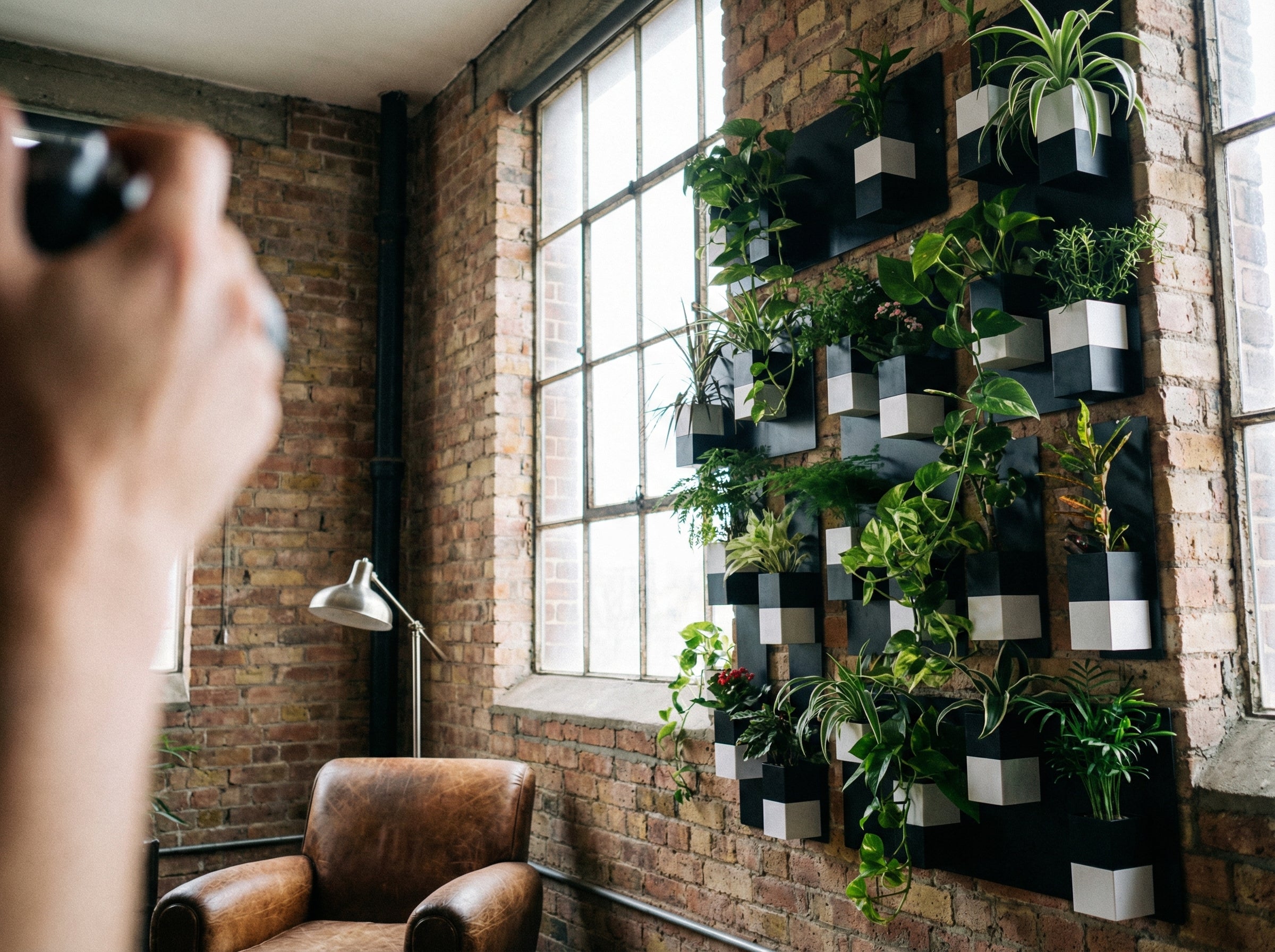 cache-pot-eclance-le-cube-6cm-bicolore-noir-et-blanc-mur-vegetal Image