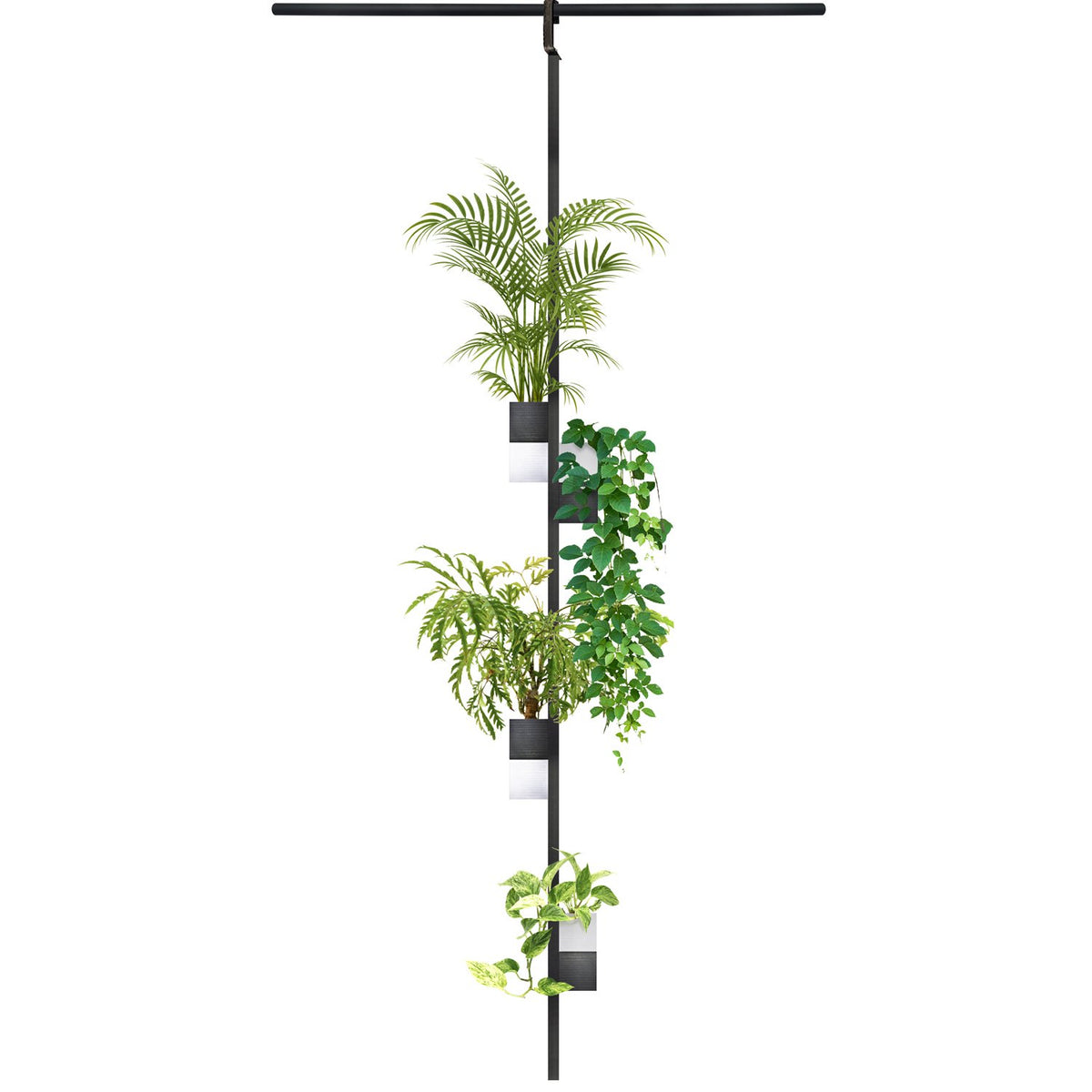 L'Archipel Végétal Éclance bicolore noir et blanc : support végétal suspendu bicolore accueillant quatre plantes vertes sur fond blanc neutre.