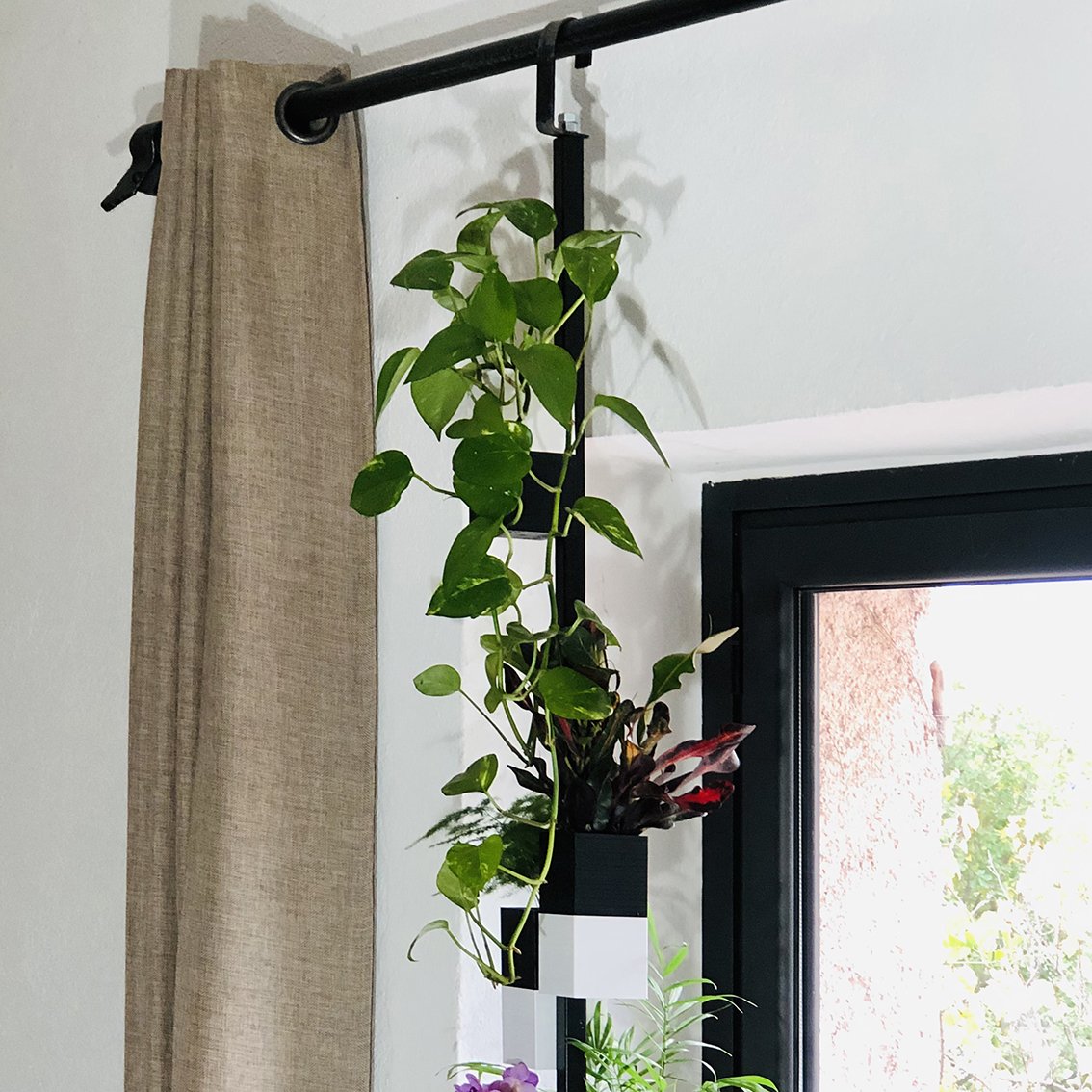 L'Archipel Végétal Éclance bicolore noir et blanc : plantes vertes suspendues à une tringle à rideaux par un support vertical bicolore.