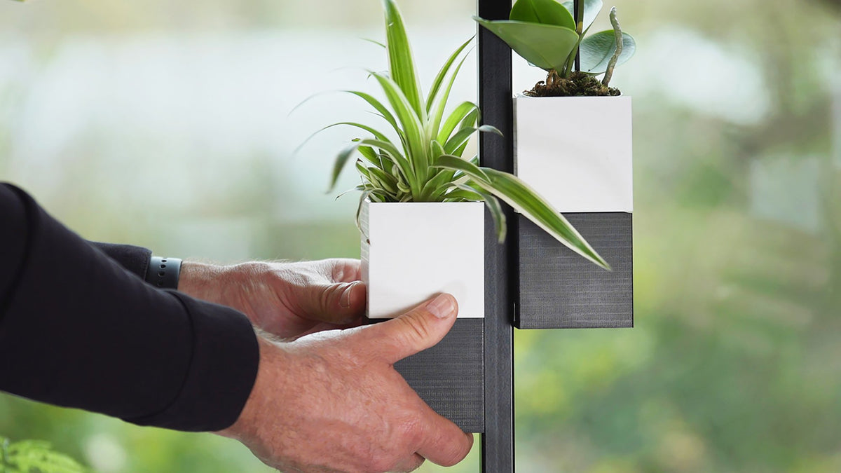 L'Archipel Végétal Éclance bicolore noir et blanc : une personne installe un cache-pot bicolore avec plante verte sur un support vertical métallique.