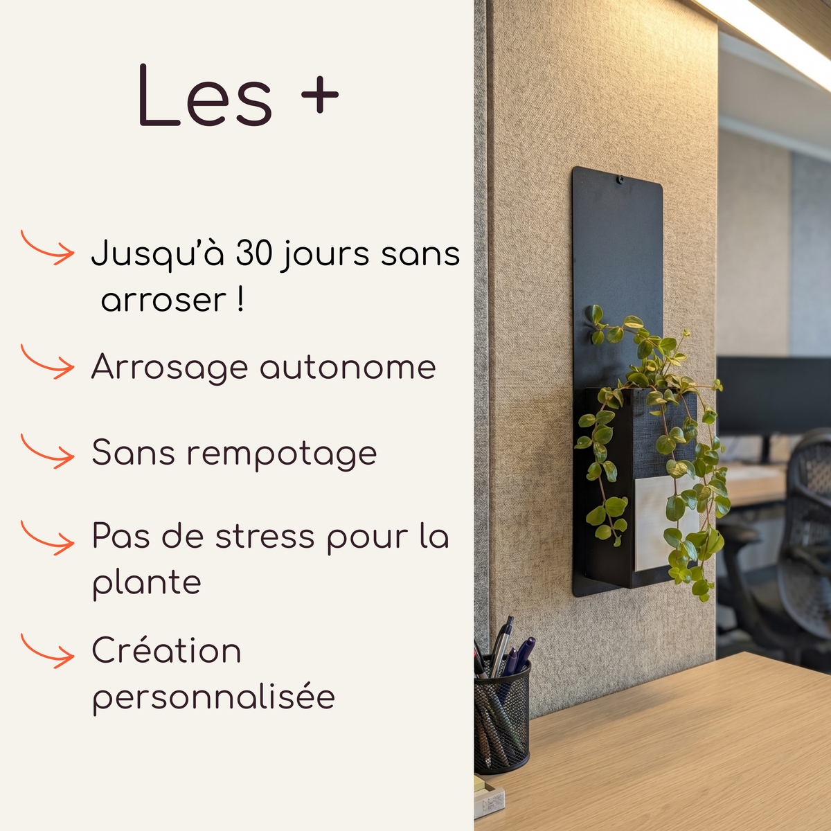 Infographie présentant les avantages du mini mur végétal Éclance : arrosage autonome jusqu'à 30 jours, sans rempotage et création personnalisée. Le visuel montre le produit fixé sur un mur texturé beige à côté d'un canapé terracotta, incluant une plaque en acier noir et un cache-pot Le Cube bicolore blanc et noir, adapté pour un pot de 6cm.