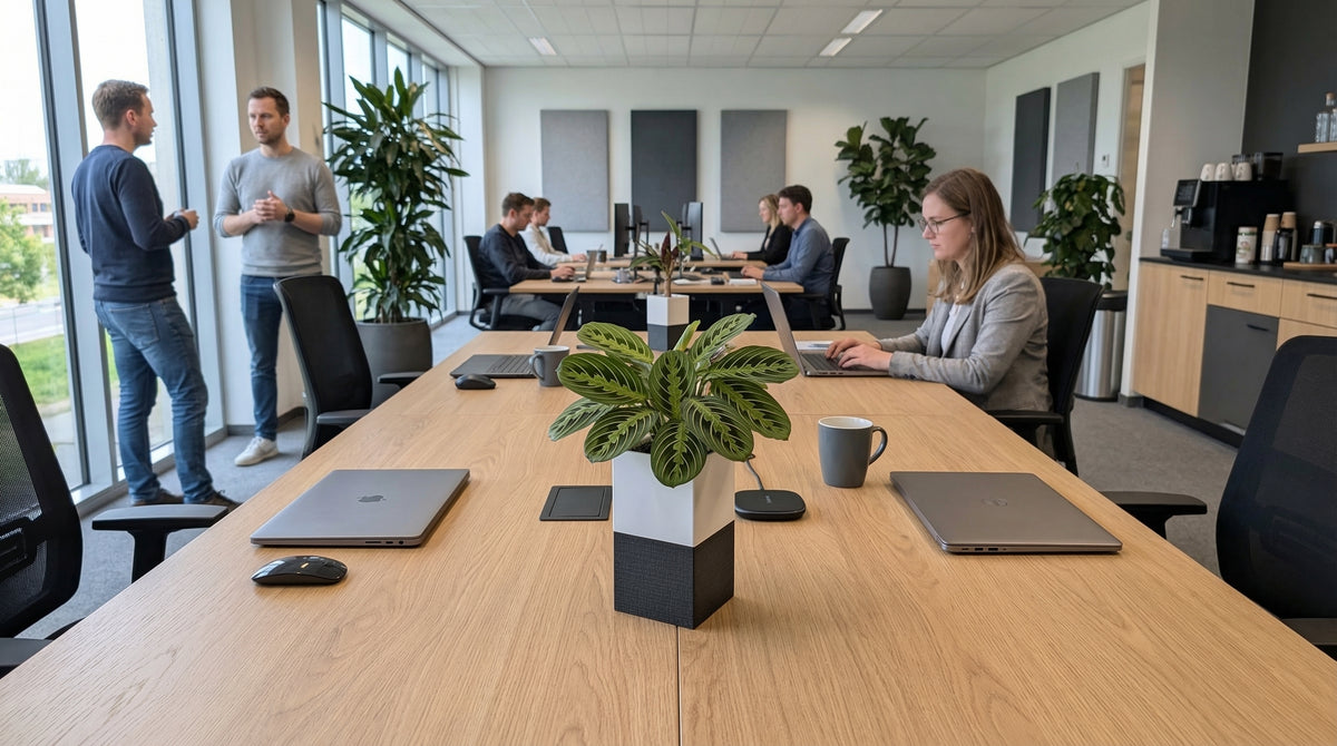 Cache-pot Éclance Le Cube bicolore blanc et noir (adapté pot de 6cm) avec une plante Calathea, posé sur une grande table de réunion en bois dans un bureau open-space moderne.