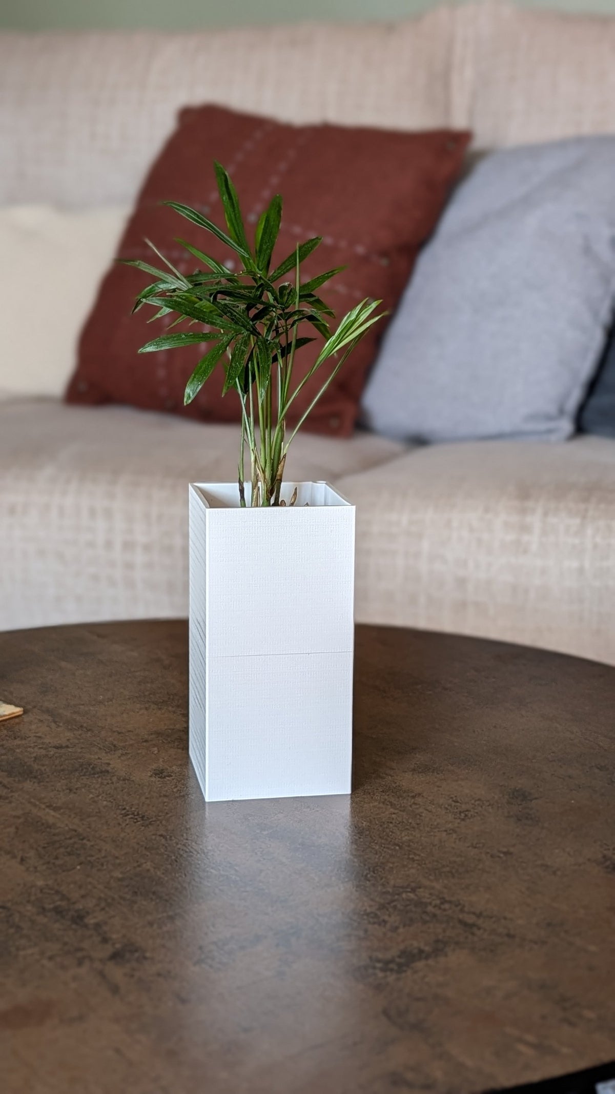 Cache-pot Le Cube Éclance blanc : une petite plante verte dans un cache-pot cube blanc sur une table basse en bois.