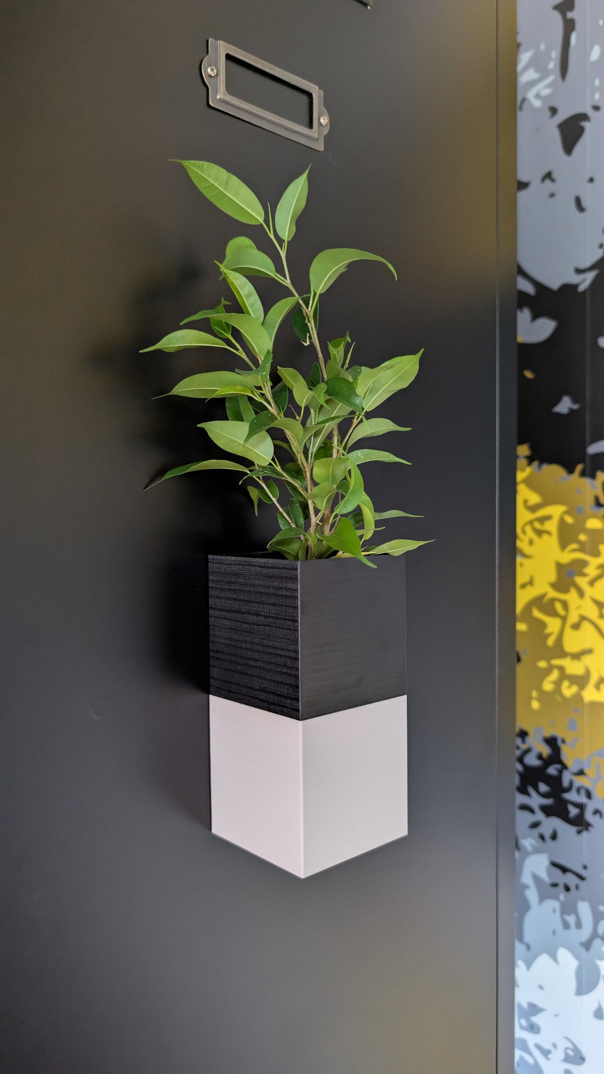 Cache-pot Le Cube Éclance bicolore (cube haut noir, cube bas blanc) : cache-pot magnétique bicolore noir et blanc fixé sur un meuble métallique avec plante verte.