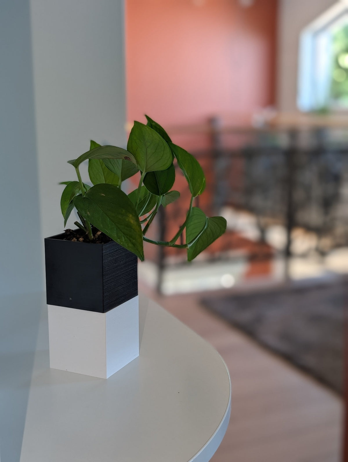 Cache-pot Le Cube Éclance bicolore (cube haut noir, cube bas blanc) : plante verte dans un cache-pot bicolore noir et blanc posé sur un meuble blanc.