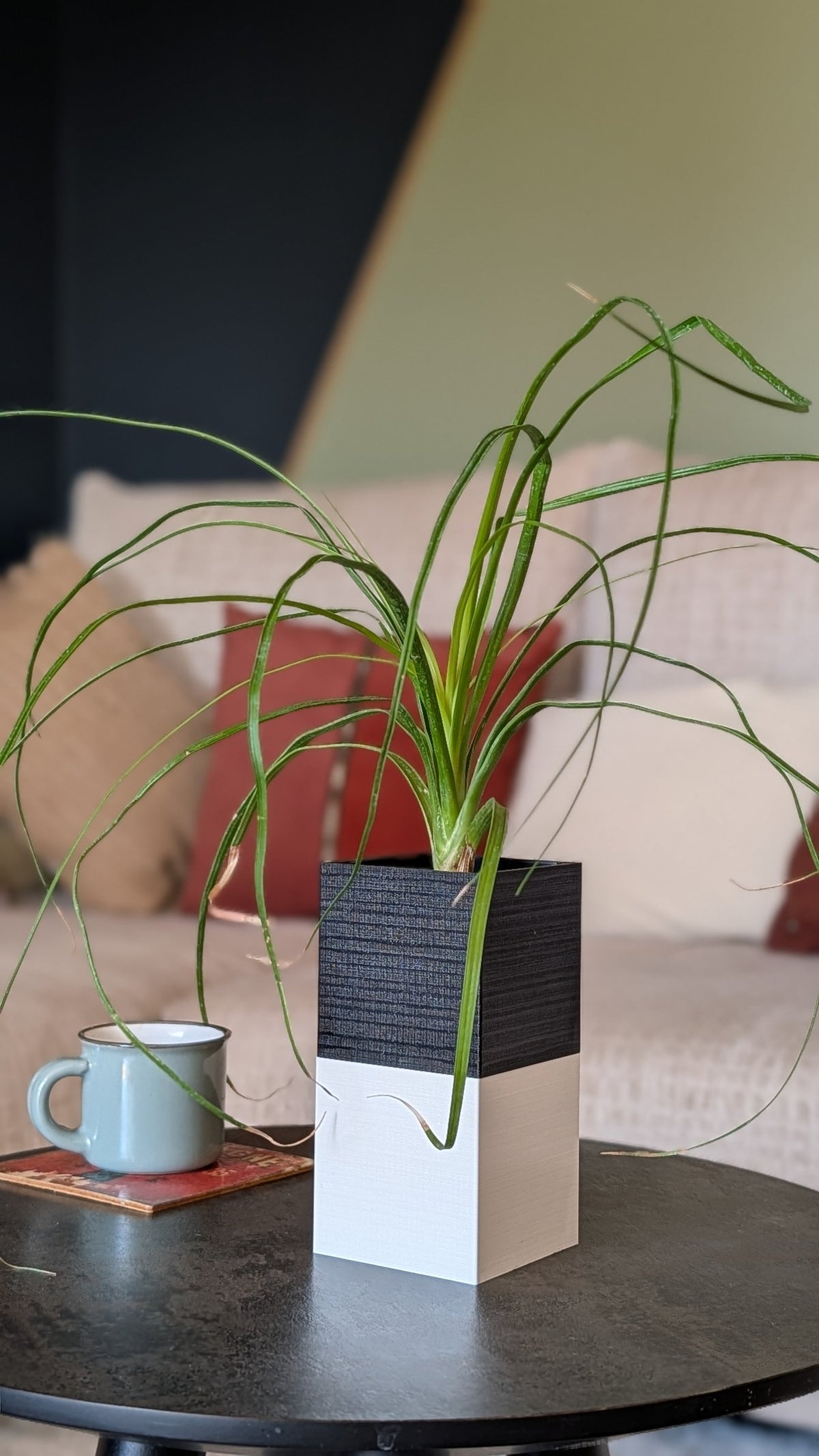 Cache-pot Le Cube Éclance bicolore (cube haut noir, cube bas blanc) : plante verte dans un cache-pot bicolore noir et blanc posé sur une table basse.