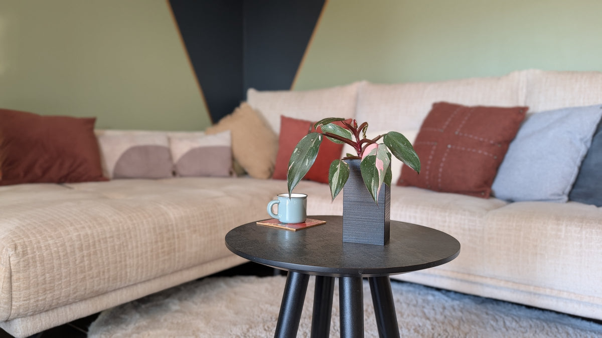 Cache-pot Le Cube Éclance noir : cache-pot noir carré avec plante verte et rose posé sur une table basse de salon.