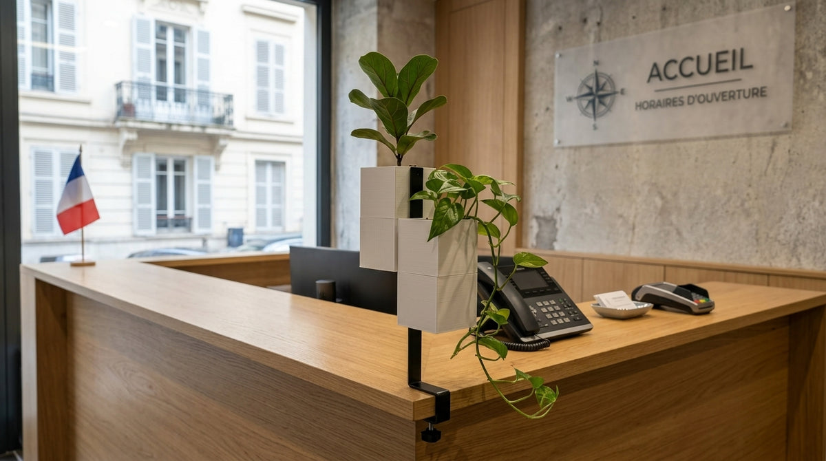 Détail d'un comptoir d'accueil en bois clair de bureau avec un support l'îlot végétal noir de marque Éclance fixé au bord, tenant deux cache-pots Le cube blancs de 6 cm. Un petit Ficus lyrata est planté dans le cube supérieur et une plante de Pothos pendante dans le cube inférieur. Sur le bureau, on voit un téléphone et un terminal de paiement. L'arrière-plan montre une fenêtre sur une rue parisienne avec un drapeau français et une enseigne murale 'ACCUEIL' avec logo de boussole.