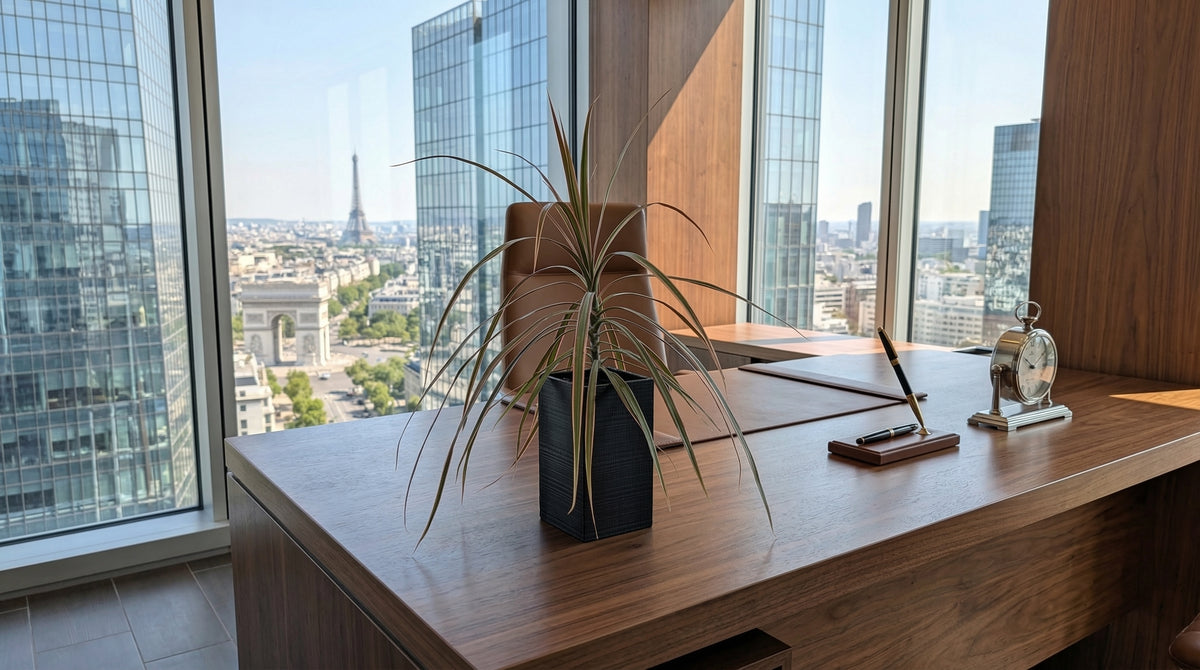 Élégant bureau de direction parisien avec vue sur la Tour Eiffel et l'Arc de Triomphe. Au premier plan, posé sur le bureau en noyer, un cache-pot Éclance modèle 'Le Cube' en coloris noir, adapté pour un pot de 6cm, contenant une plante verte.