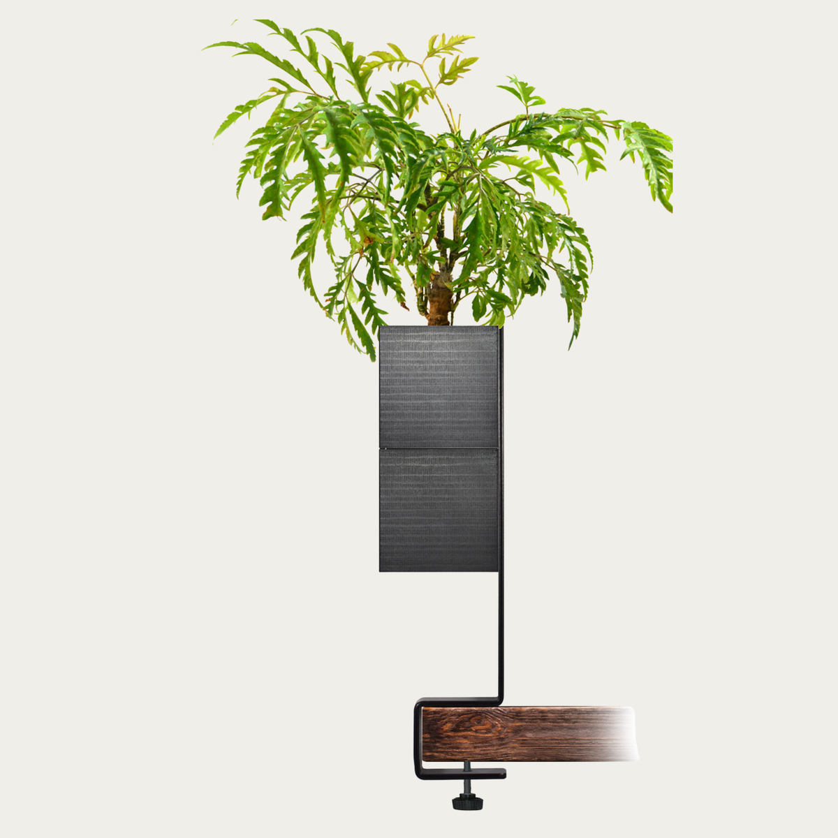 eclance-cache-pot-le-cube-noir-adapte-pour-pot-de-6cm-avec-support-etau-sur-bois