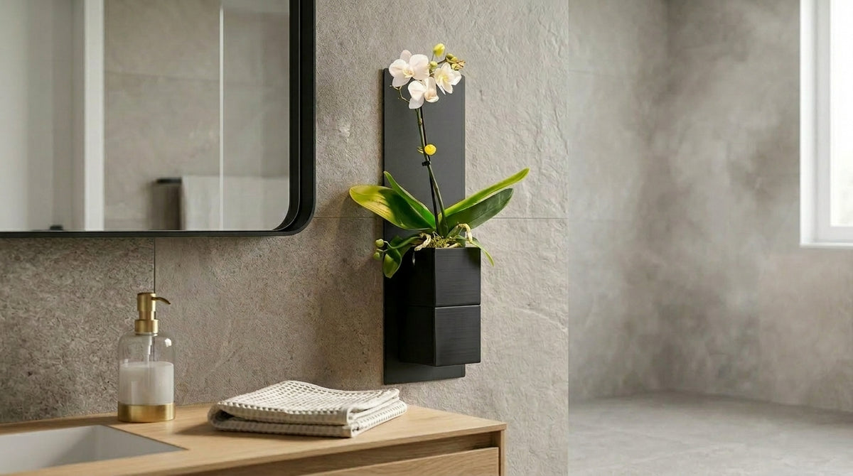 Ambiance zen Éclance avec le cache-pot Le cube noir mat (adapté pour pot de 6cm) fixé sur son support mural design. Une orchidée blanche sublime cette décoration d'intérieur végétale dans une salle de bain moderne aux tons naturels.