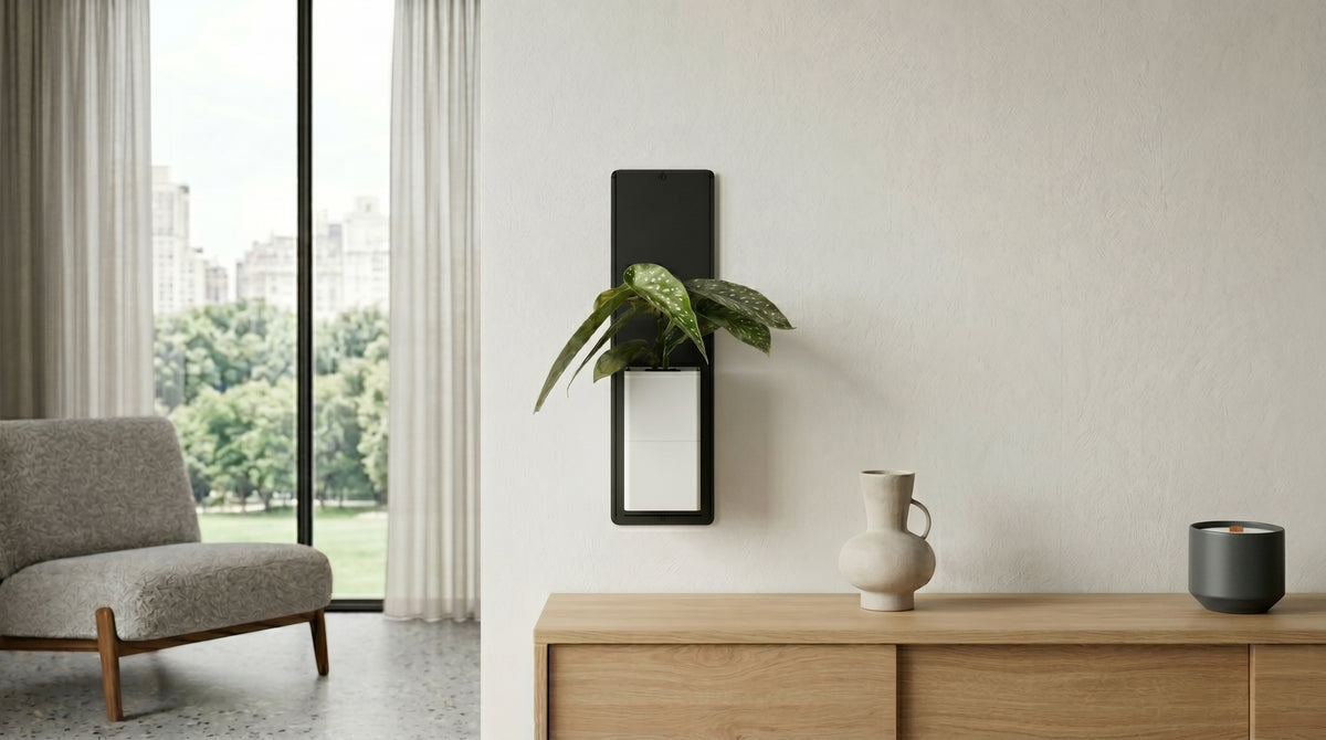 Décoration d'un salon lumineux et moderne avec la marque Éclance décoration intérieur végétal. Au-dessus d'une console en bois clair, le mur texturé met en valeur un élégant support mural noir. Sur ce dernier est fixé le cache-pot Le cube de couleur tout blanc (un cache-pot adapté pour un pot de 6cm), accueillant une belle plante d'intérieur aux feuilles tachetées. L'espace de vie est complété par un fauteuil gris et une grande baie vitrée.