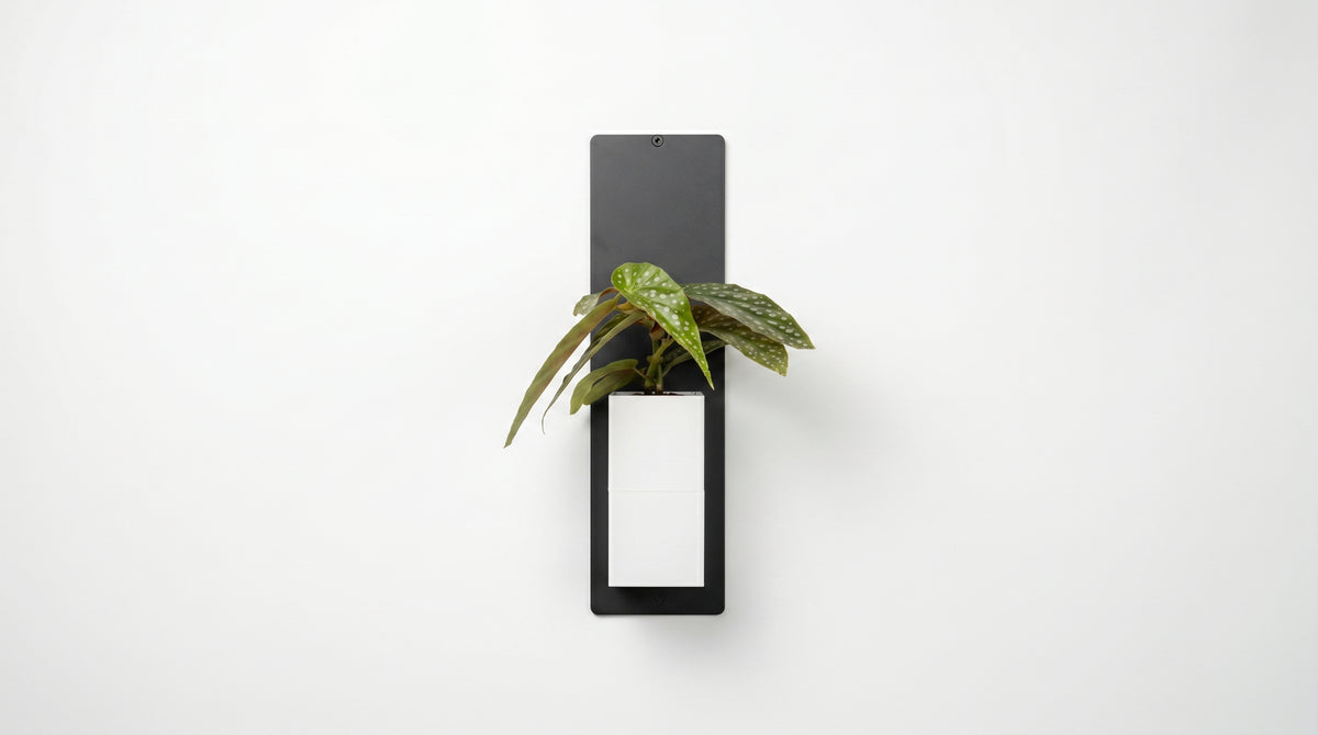 Vue de face d'une composition murale minimaliste signée Éclance décoration intérieur végétal. Un fin support mural noir accueille le cache-pot Le cube de couleur tout blanc (un cache-pot adapté pour un pot de 6cm). Ce dernier met en valeur une plante d'intérieur aux feuilles graphiques et tachetées, photographiée sur un fond blanc lumineux.