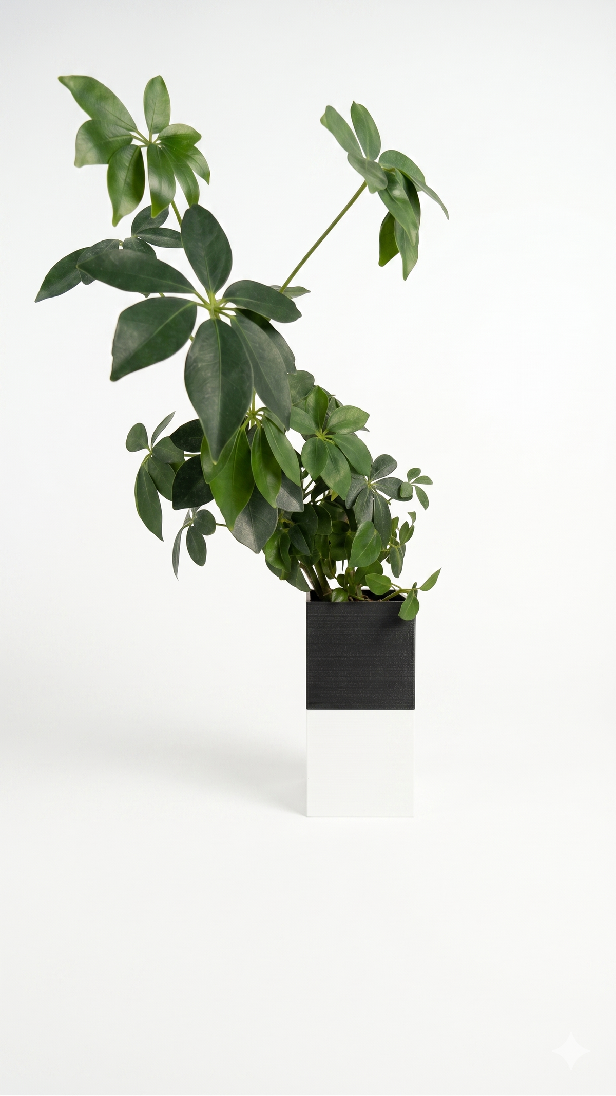 Le Cube : le cache-pot à arrosage autonome et dos aimanté