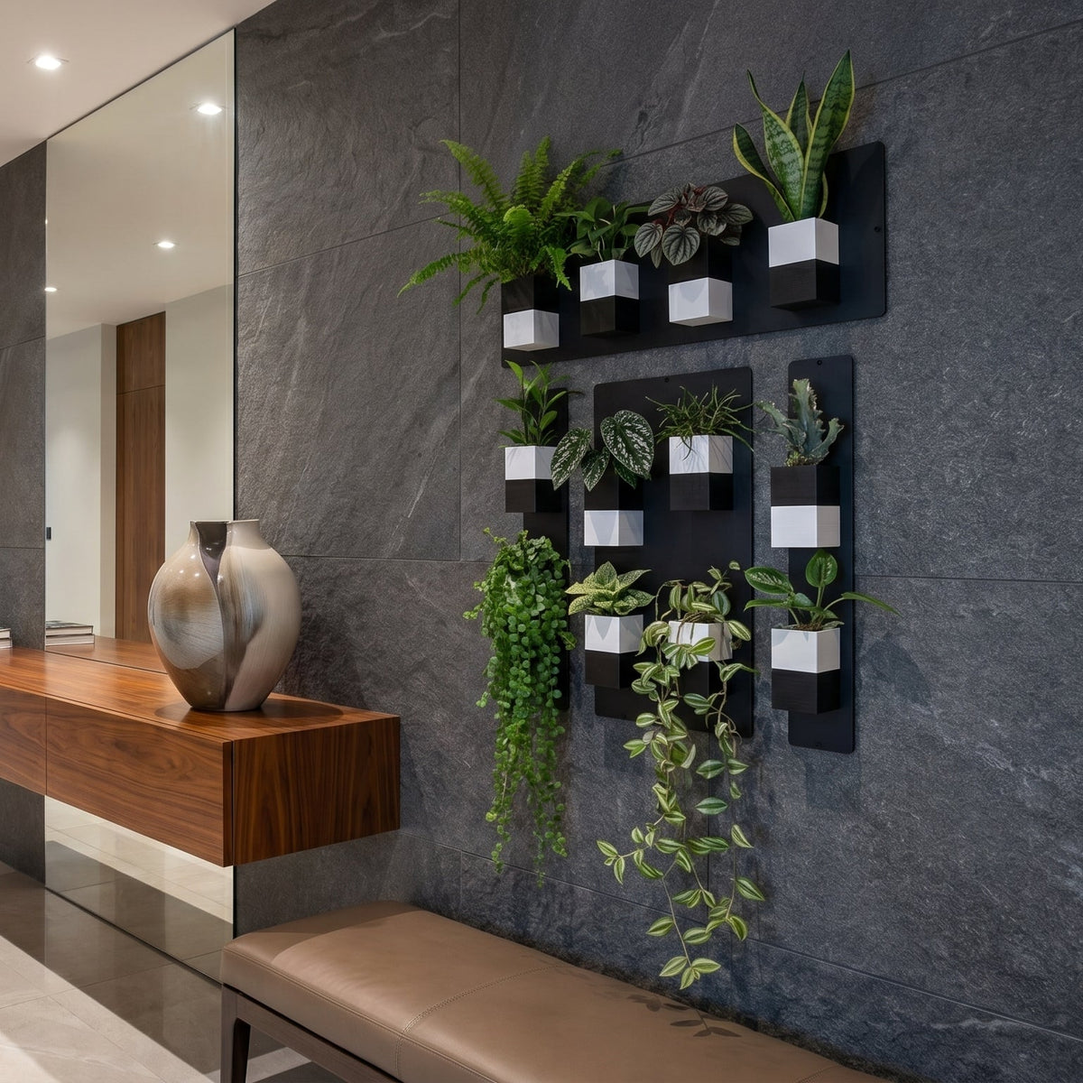 Décoration d'intérieur végétal signée Éclance avec une composition murale de plantes vertes. Focus sur le cache-pot Le cube, adapté pour un pot de 6cm, décliné en version bicolore noir et blanc et fixé sur des supports muraux noirs design au sein d'un couloir contemporain et élégant.