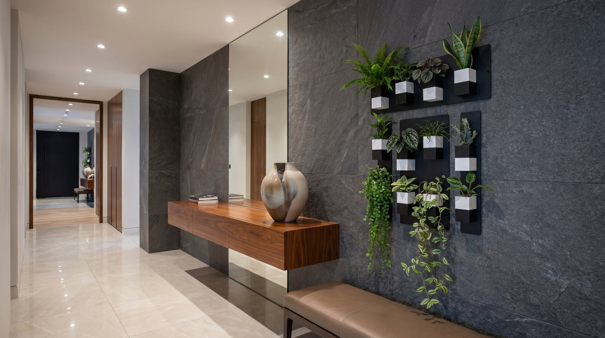 Décoration d'intérieur végétal signée Éclance avec une composition murale de plantes vertes. Focus sur le cache-pot Le cube, adapté pour un pot de 6cm, décliné en version bicolore noir et blanc et fixé sur des supports muraux noirs design au sein d'un couloir contemporain et élégant.