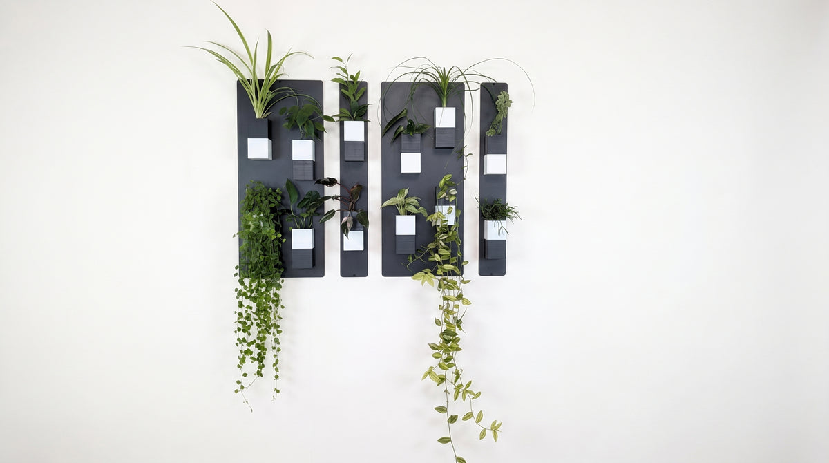 Composition modulable de quatre supports muraux noirs Éclance décoration intérieur végétal (deux grands modèles et deux modèles étroits) alignés sur fond blanc, avec douze cache-pots bicolores noir et blanc Le cube (6cm) remplis de plantes vertes.