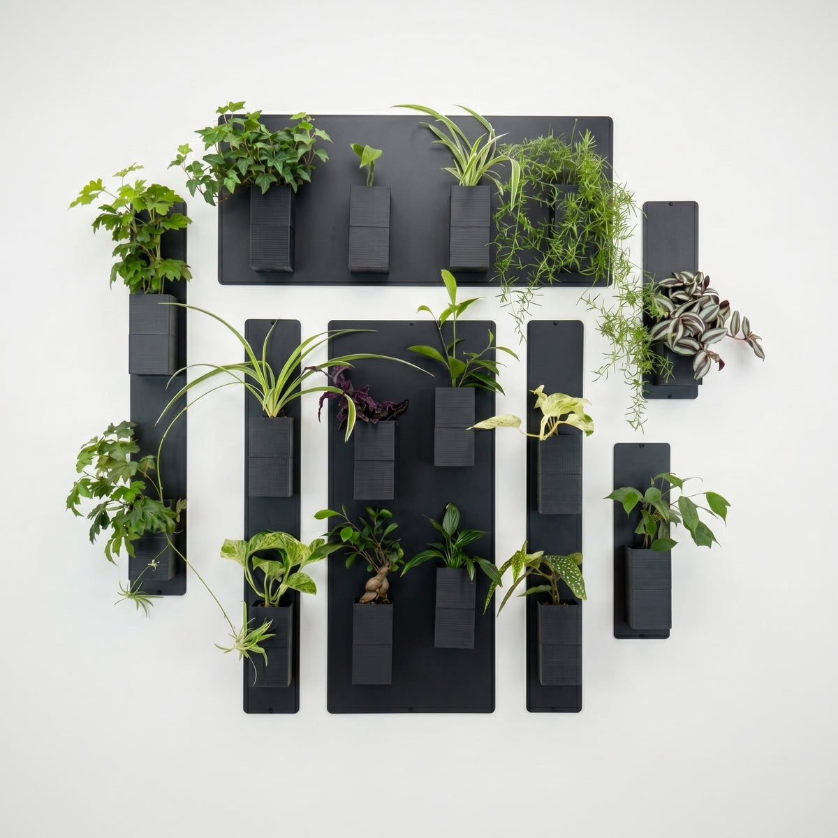 Une grande composition de mur végétal Éclance décoration intérieur végétal présentée sur un fond blanc épuré. L'installation modulaire est composée de plusieurs panneaux magnétiques noirs disposés verticalement et horizontalement, sur lesquels sont aimantés des cache-pots Le cube tout noir, parfaitement adaptés pour des pots de 6cm. Les cubes accueillent une riche variété de plantes vertes d'intérieur, créant un tableau végétal design, minimaliste et graphique.