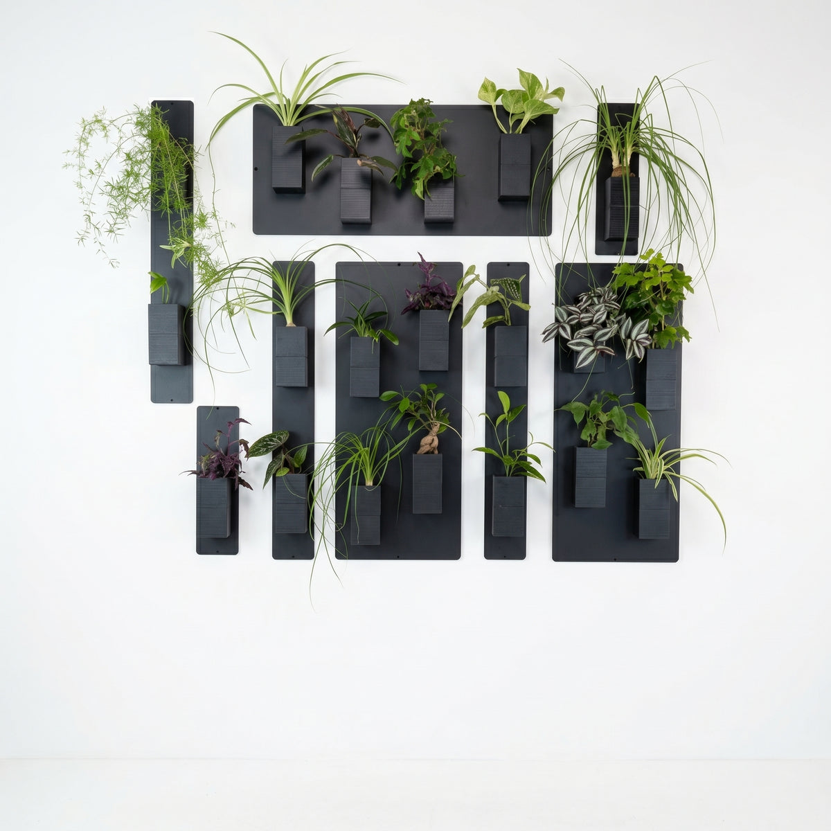 Une grande composition de mur végétal modulaire de la marque Éclance décoration intérieur végétal, présentée sur un fond blanc épuré. L'agencement comprend plusieurs plaques magnétiques en acier noir disposées horizontalement et verticalement, créant une structure graphique. Elle est habillée de nombreux cache-pots Le cube tout noir, spécialement adaptés pour des pots de 6cm, formant un ensemble monochrome et minimaliste. Les cubes noirs contiennent une riche variété de plantes vertes d'intérieur.