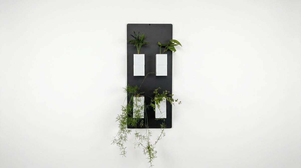 Grand support mural noir Éclance décoration intérieur végétal équipé de quatre cache-pots blancs Le cube (adaptés pour un pot de 6cm) disposés en carré avec des plantes vertes variées, sur fond blanc.