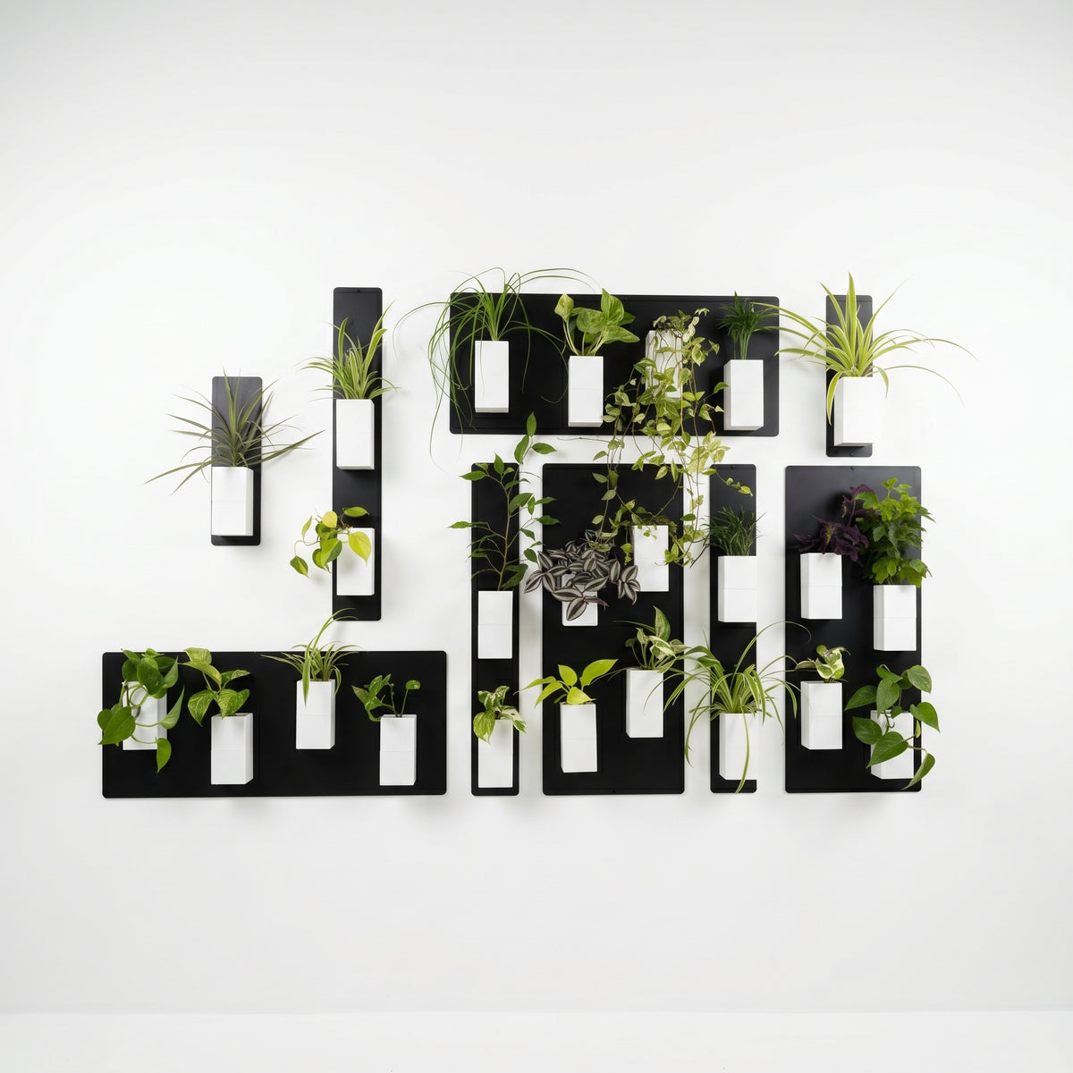 Vue d'ensemble d'une grande composition géométrique et artistique de mur végétal modulaire par Éclance décoration intérieur végétal, sur un fond blanc épuré. L'installation est structurée par une accumulation de multiples plaques magnétiques en acier noir, disposées de manière asymétrique à l'horizontale et à la verticale pour former un grand tableau végétal. De nombreux cache-pots Le cube tout blanc (conçus pour  pots de 6cm) y sont aimantés, créant un contraste saisissant tout en accueillant des plantes.