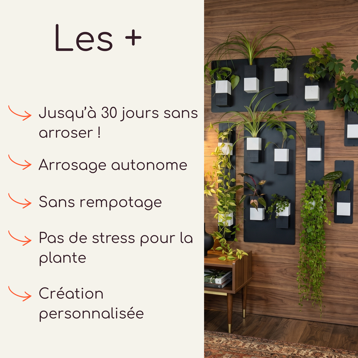 Infographie publicitaire Éclance décoration intérieur végétal listant les avantages clés du produit. À gauche, la section "Les +" affiche les textes : "Jusqu'à 30 jours sans arroser !", "Arrosage autonome", "Sans rempotage", "Pas de stress pour la plante" et "Création personnalisée". À droite, une photo d'illustration montre le mur végétal avec les cache-pots Le cube bicolores (noir et blanc) adaptés pour des pots de 6cm, aimantés sur des plaques noires contre un mur en bois.