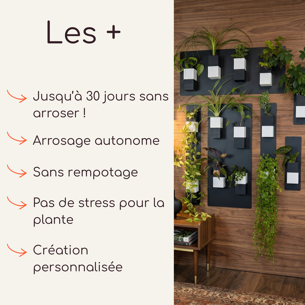 Infographie publicitaire Éclance décoration intérieur végétal listant les avantages clés du produit. À gauche, la section "Les +" affiche les textes : "Jusqu'à 30 jours sans arroser !", "Arrosage autonome", "Sans rempotage", "Pas de stress pour la plante" et "Création personnalisée". À droite, une photo d'illustration montre le mur végétal avec les cache-pots Le cube bicolores (noir et blanc) adaptés pour des pots de 6cm, aimantés sur des plaques noires contre un mur en bois.